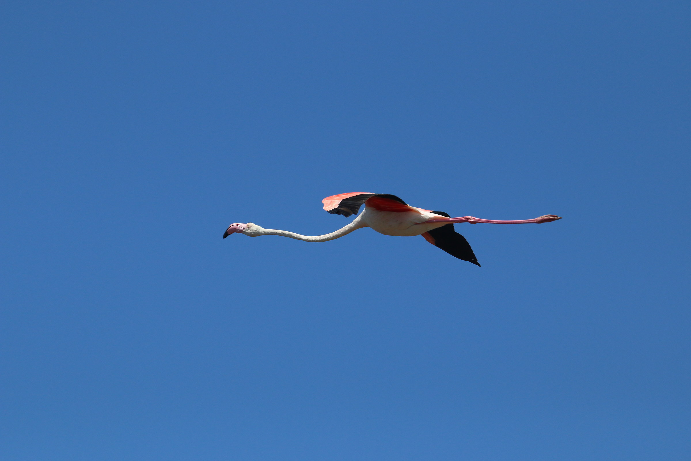 220mm f / 6.3 ISO400