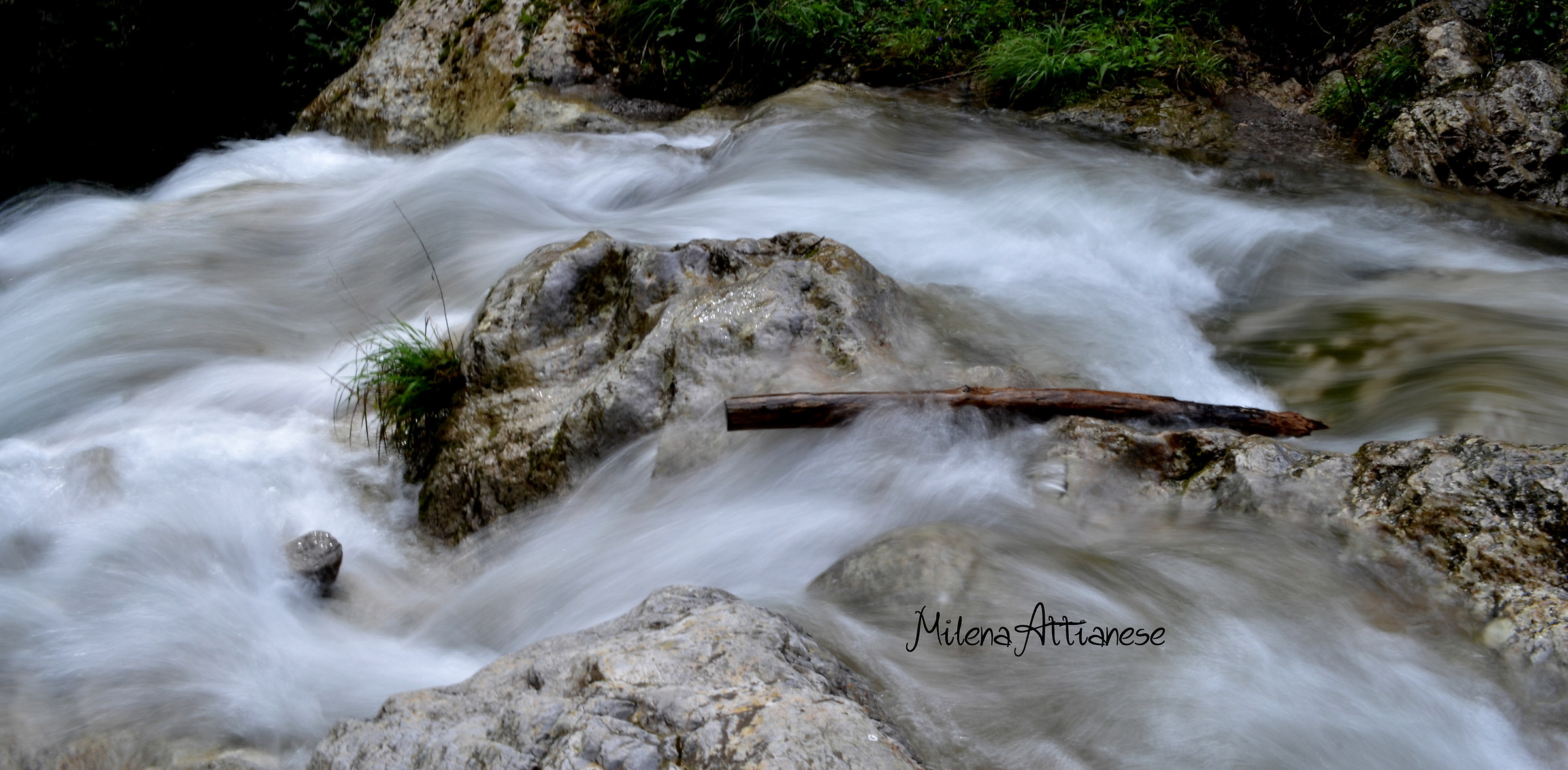 motion blur. valle delle ferriere, amalfi.