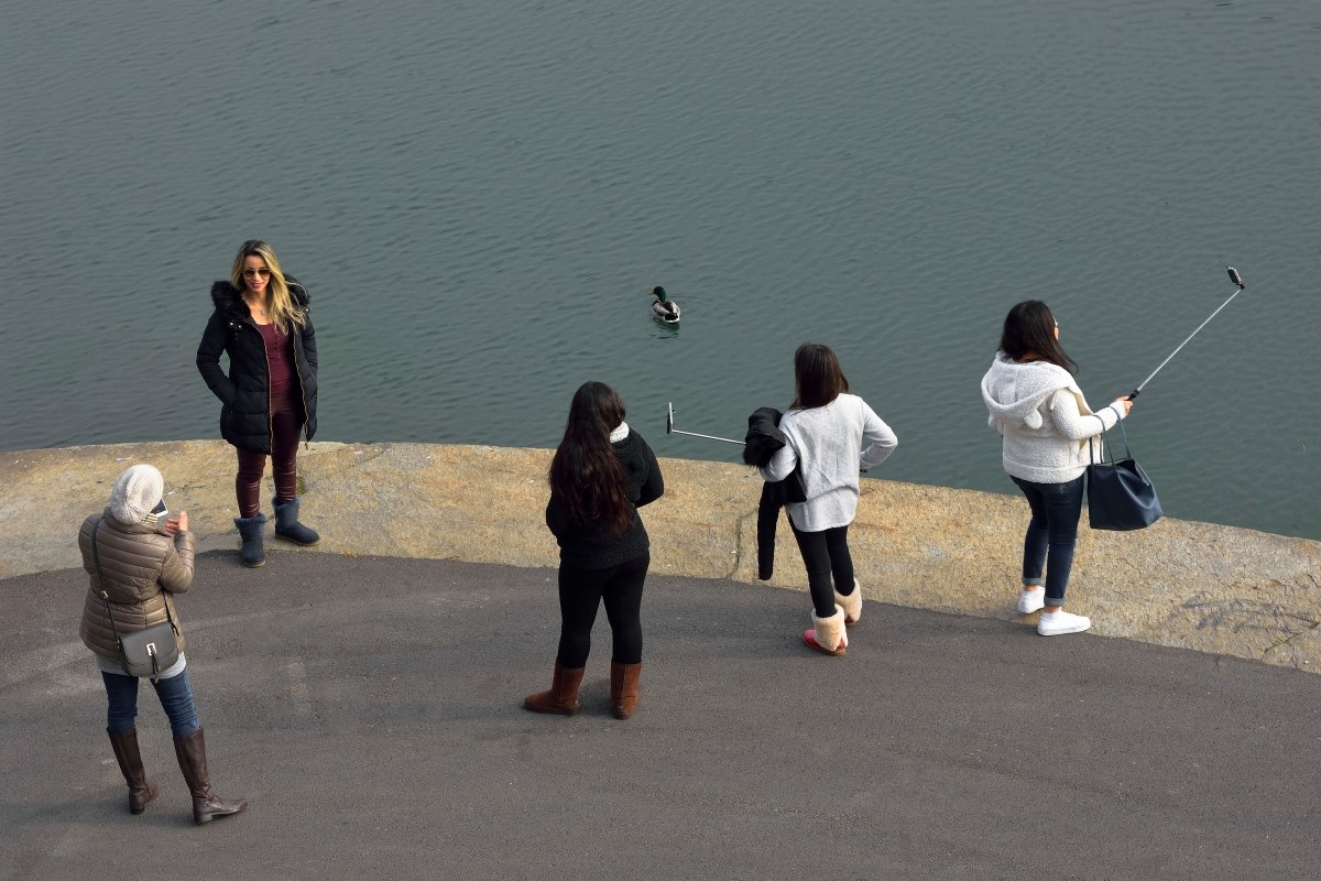 le sei paperelle.........................