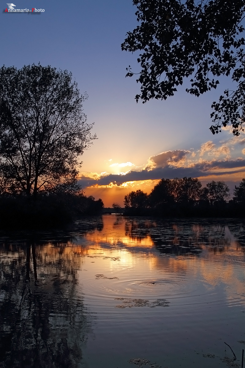 The Vallazza, Mantova