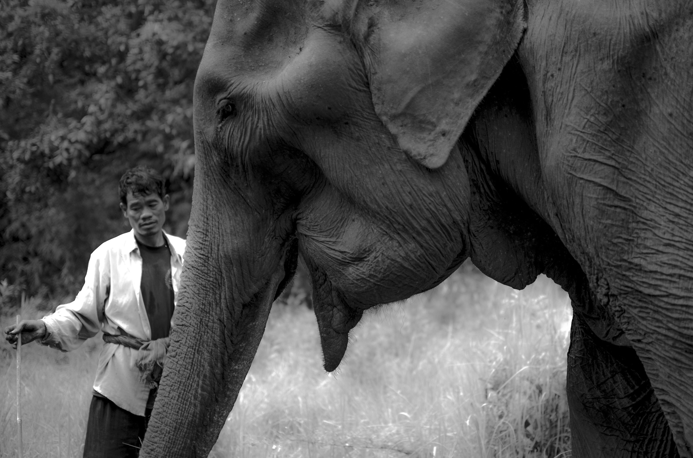 bungongo con la sua sophia