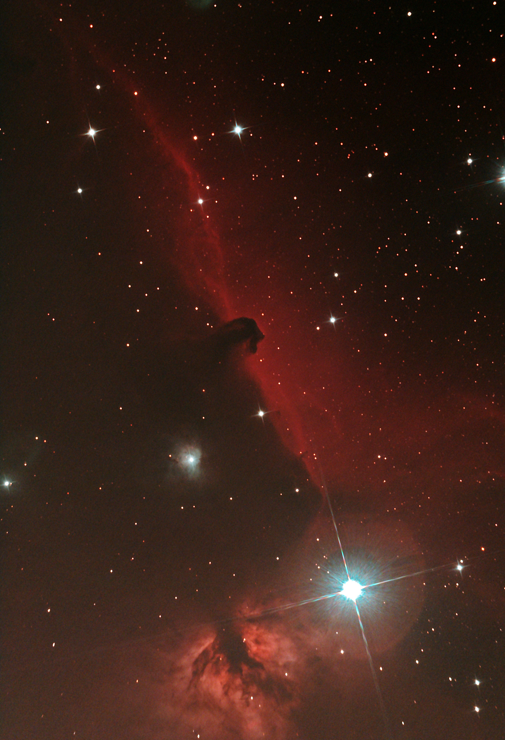 nebulosa testa di cavallo