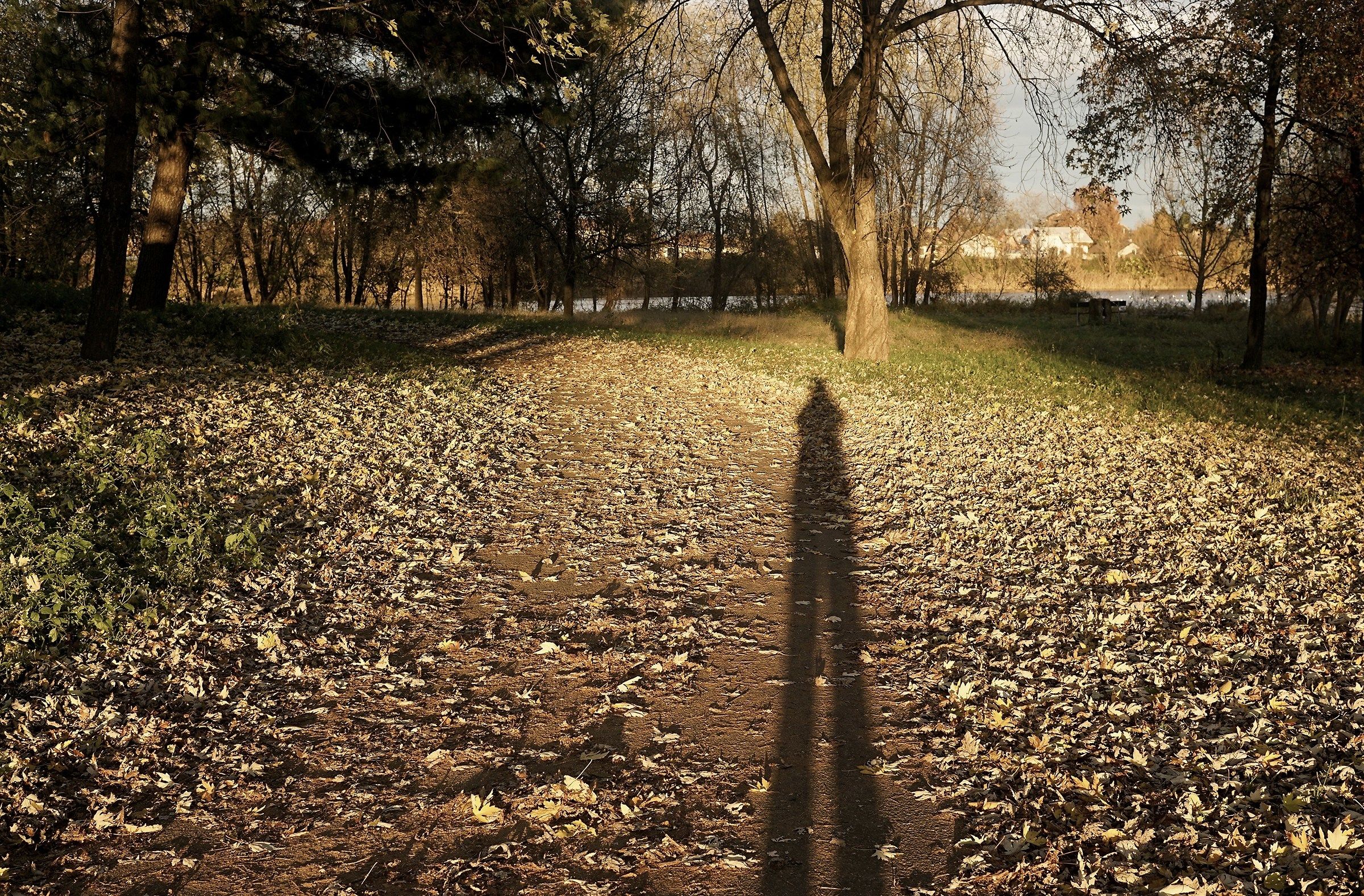 Ombre lunghe...gambe lunghissime!