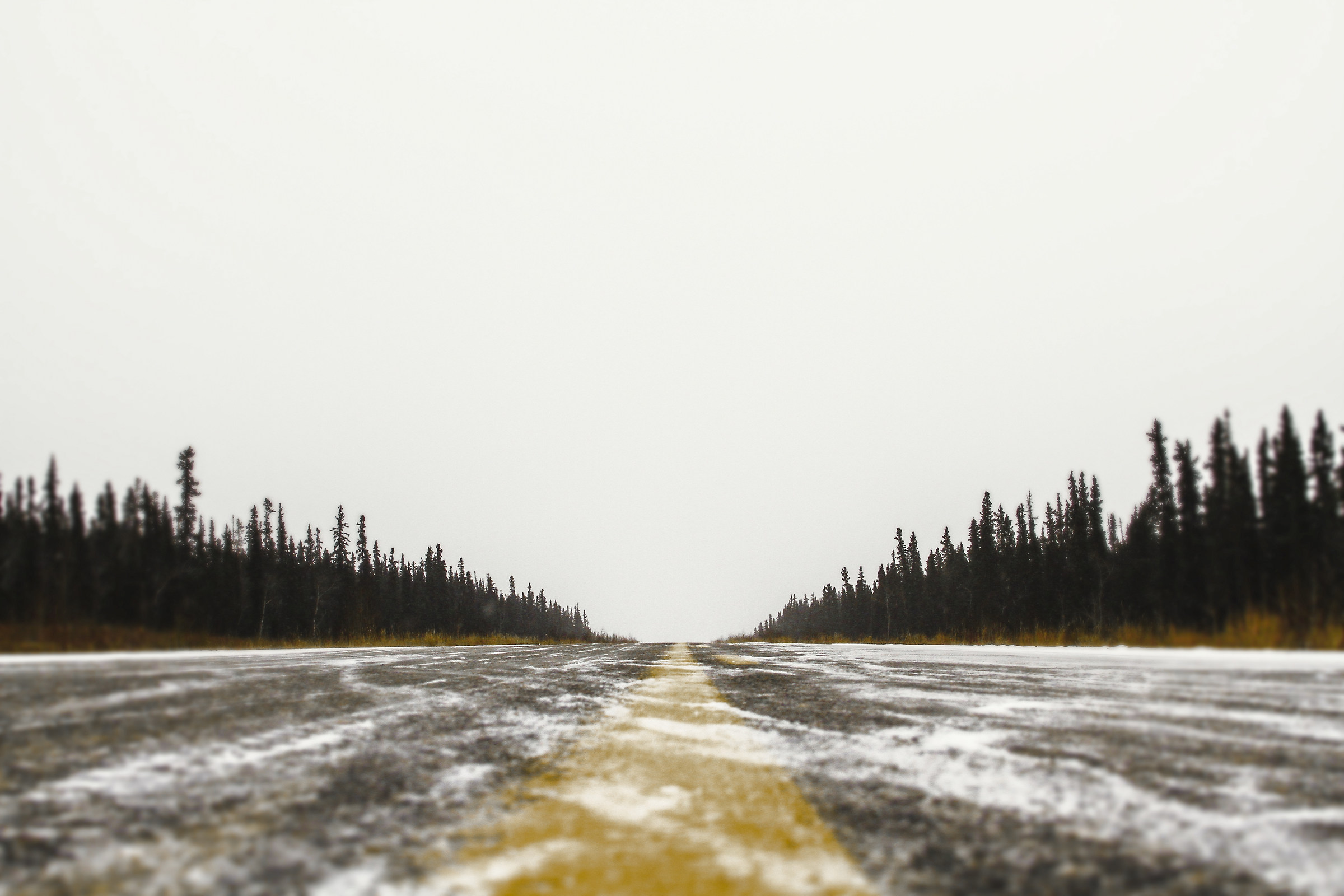 "Along the Panamerican Highway, 1600 km by car"