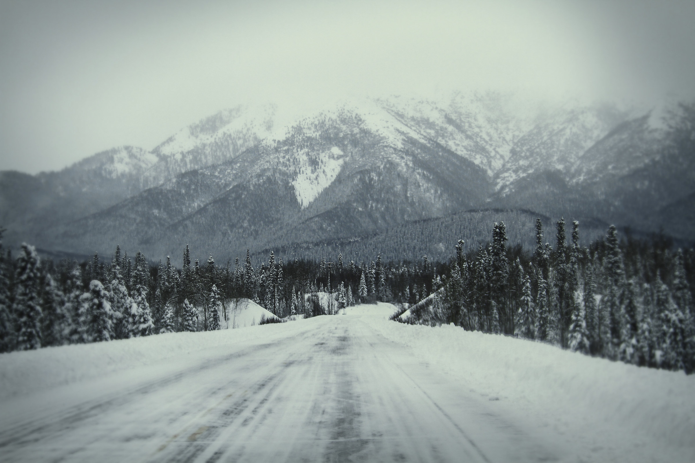 "Along the Panamerican Highway, 1600 km by car"