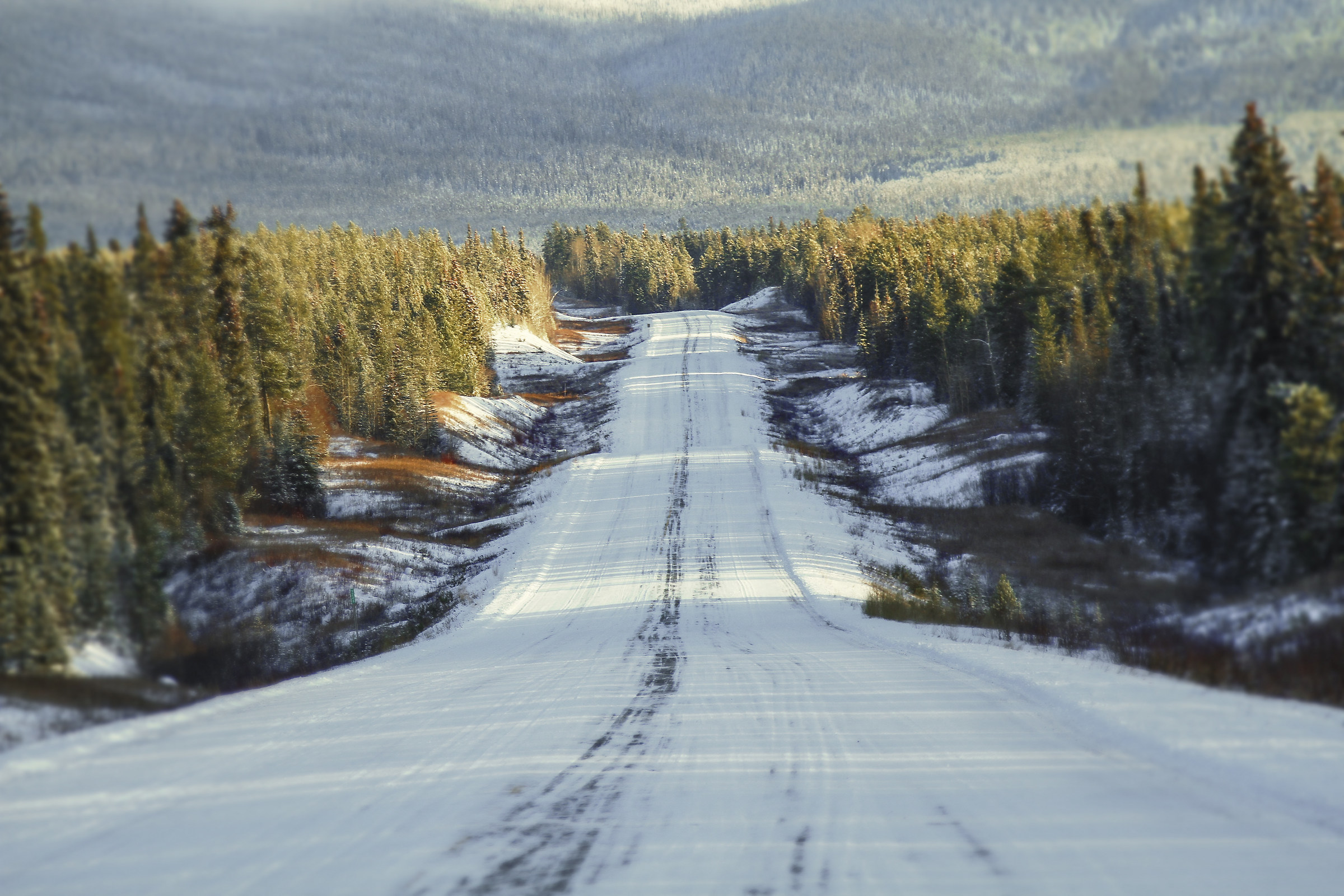 "Along the Panamerican Highway, 1600 km by car"