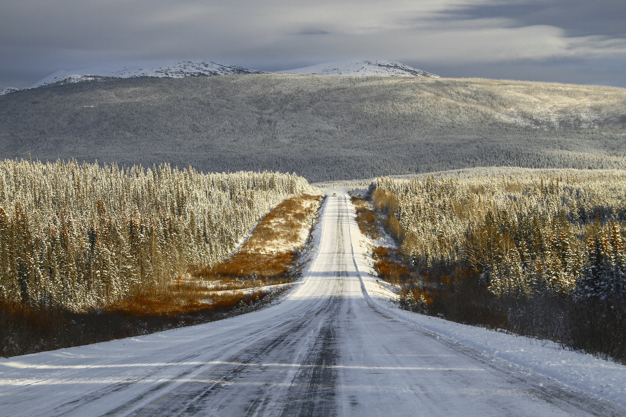"Along the Panamerican Highway, 1600 km by car"