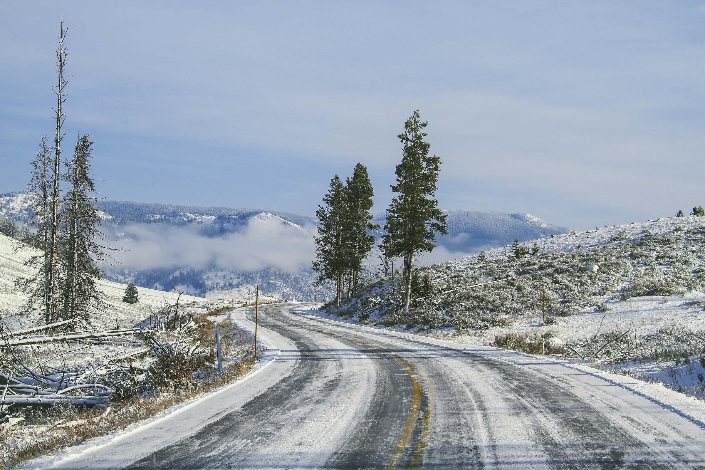 "Along the Panamerican Highway, 1600 km by car"
