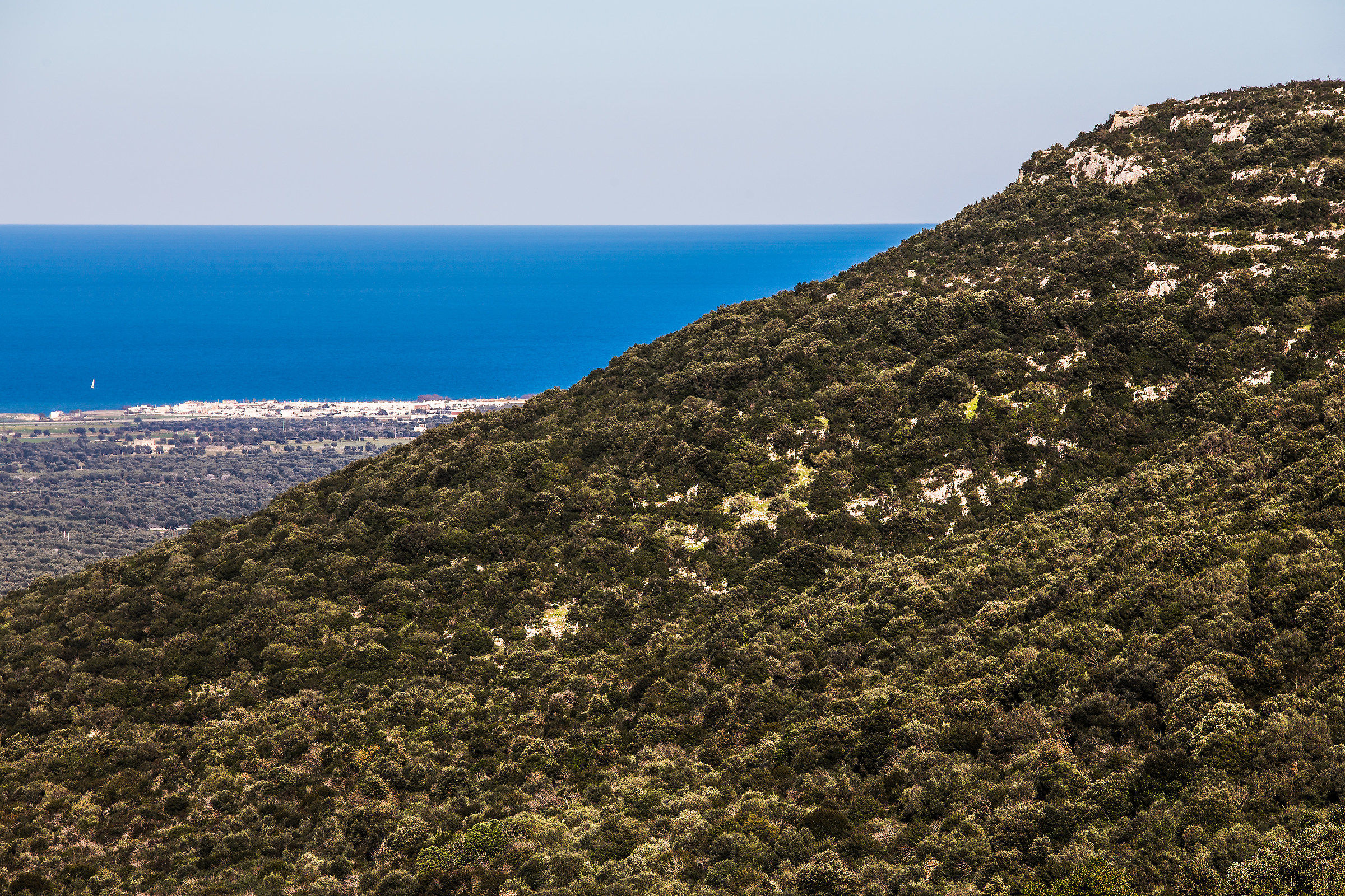diagonal Mediterranean
