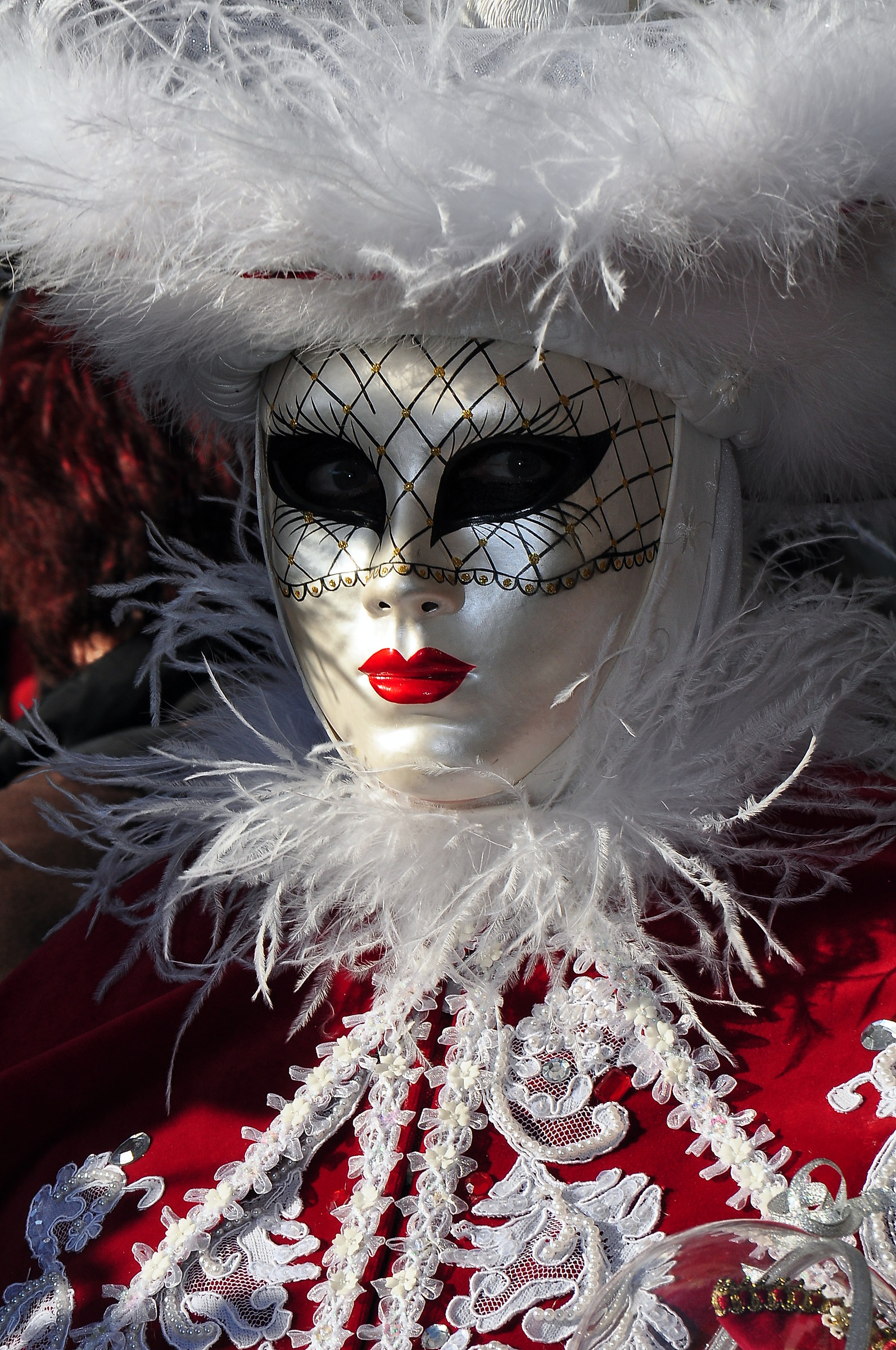 Venice Carnival / 15