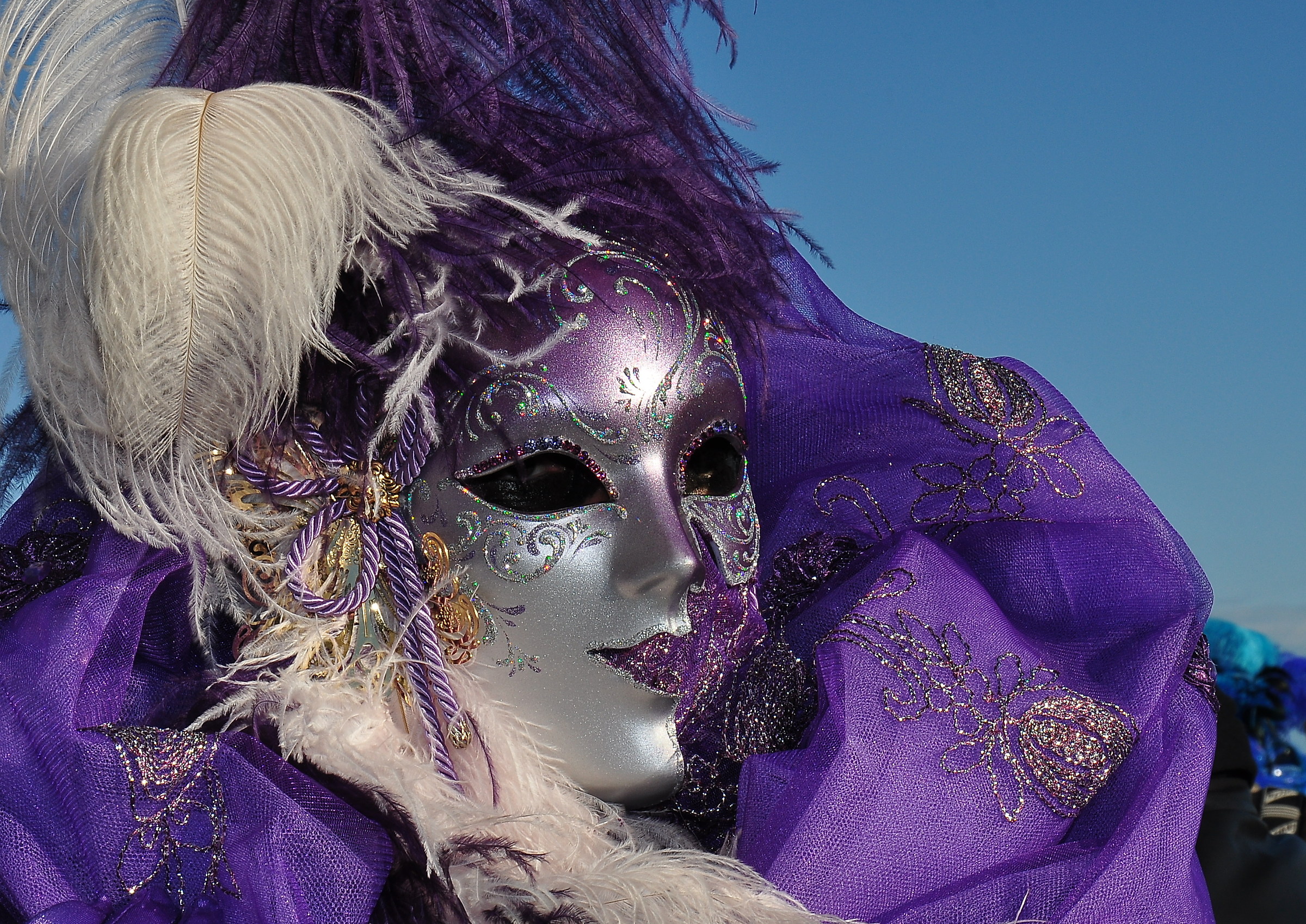 Carnevale di Venezia 2014