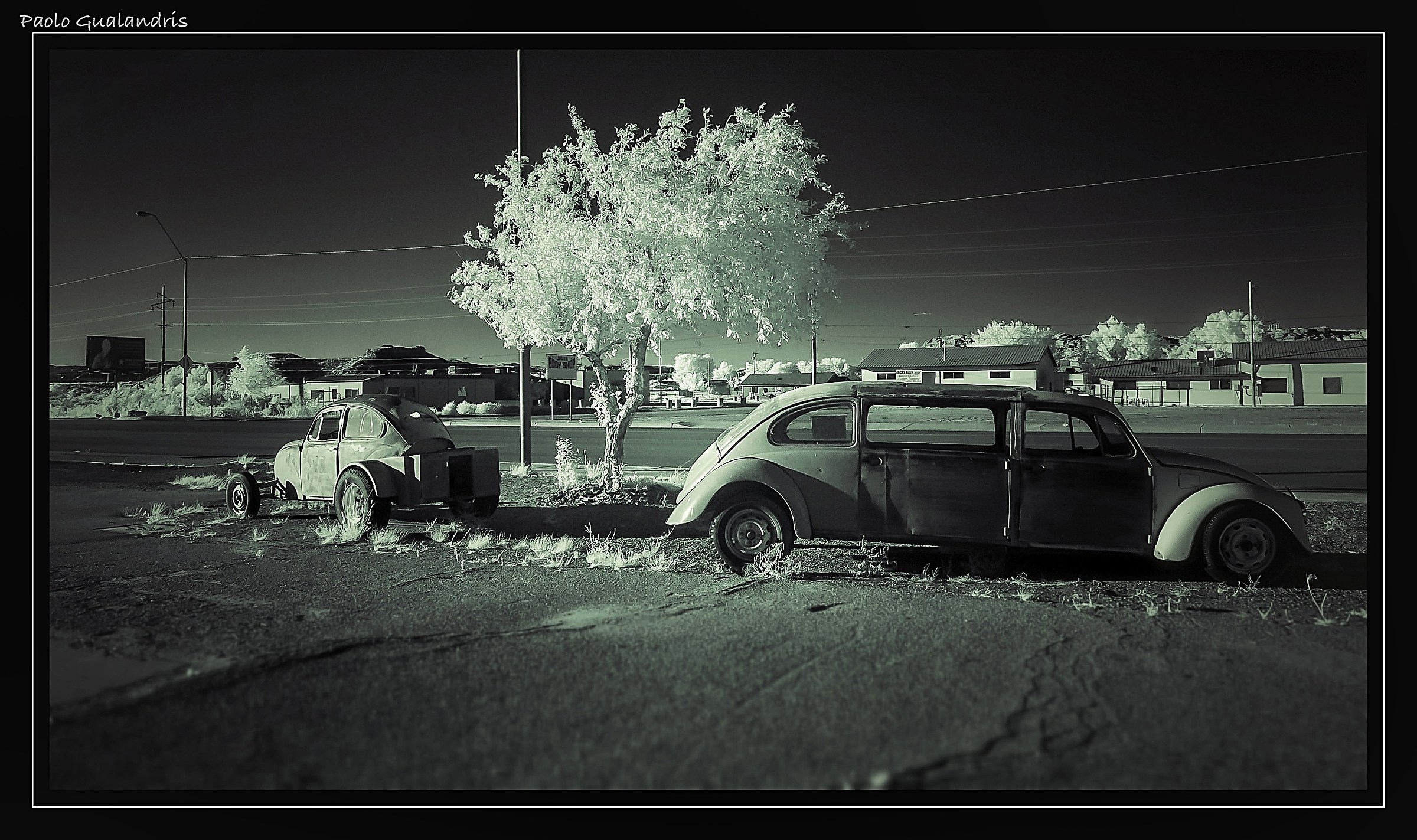 Mad Max Bug's  (i.r.)