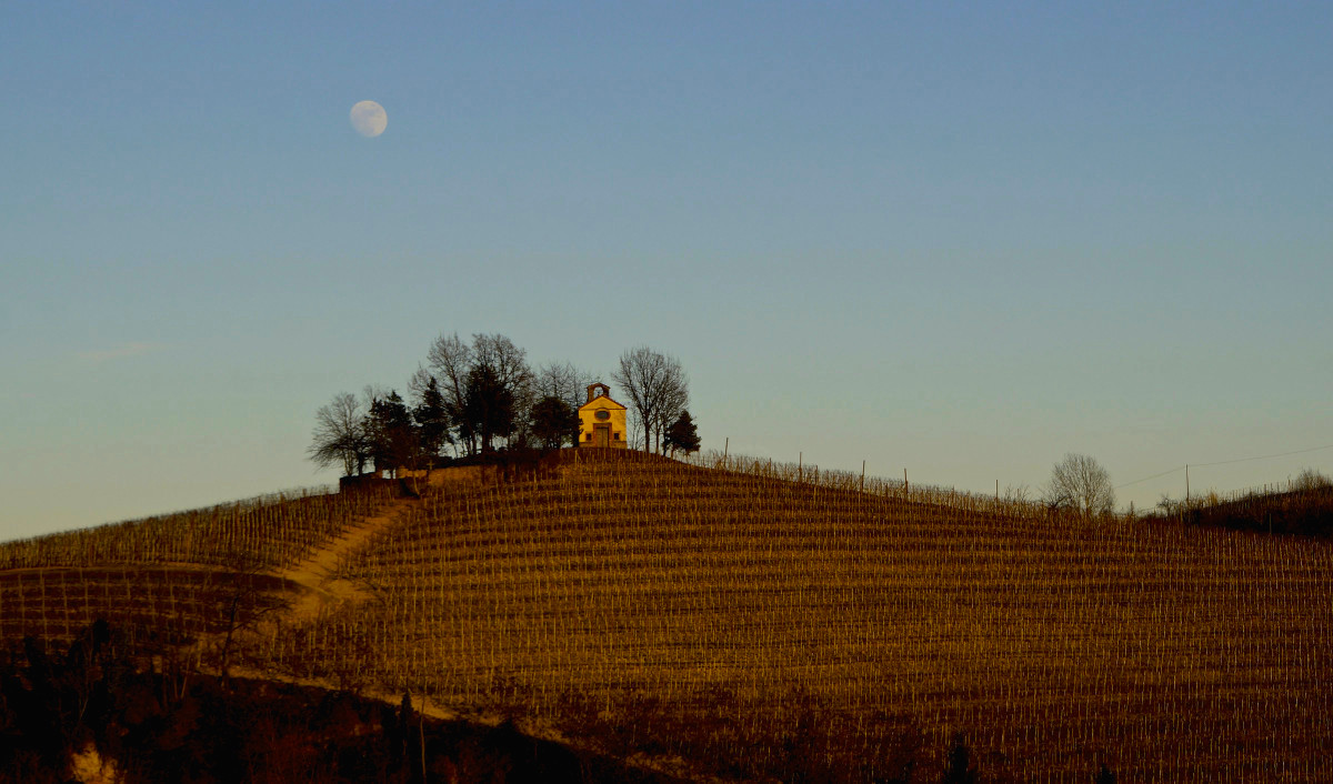 The Chapel in the Vineyard