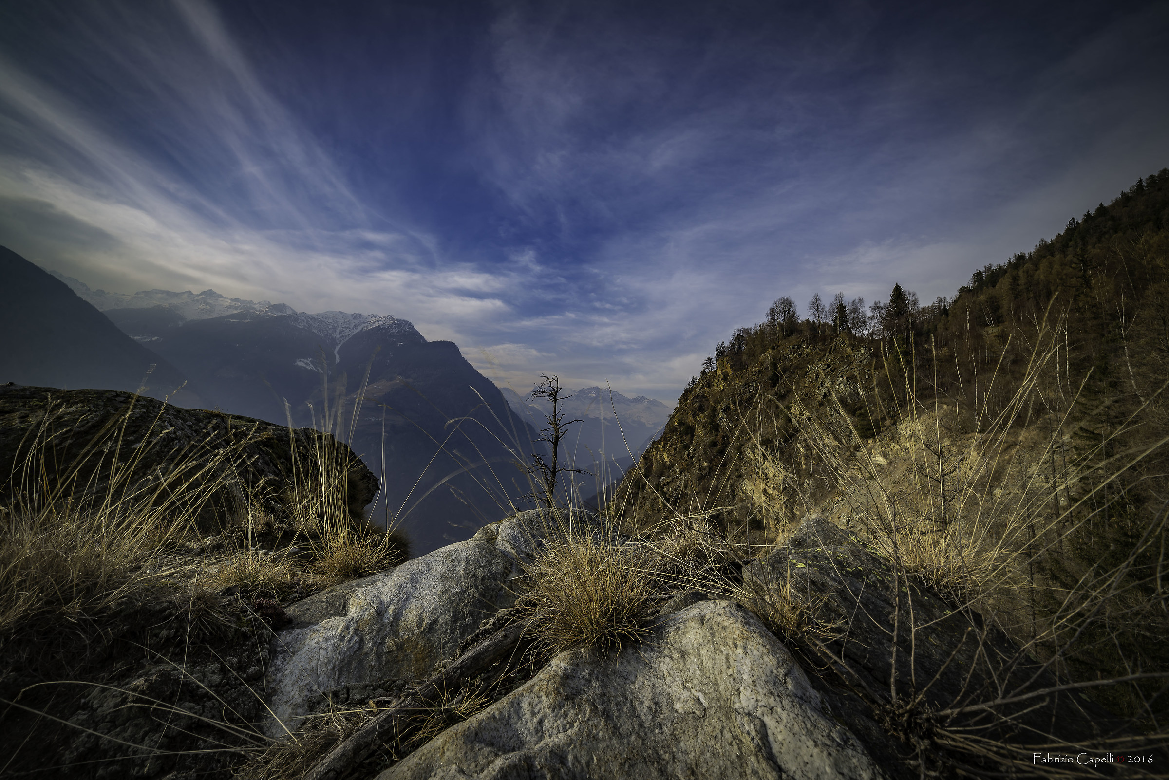 Sullo sfondo il Bernina