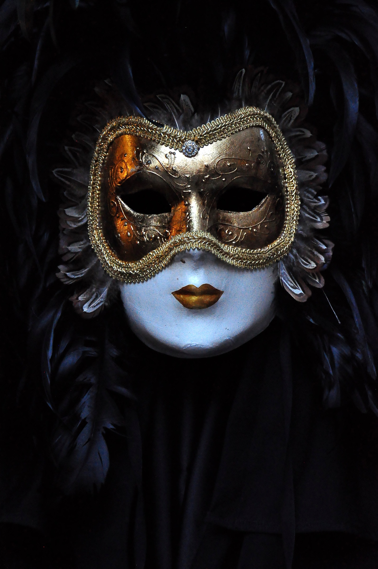 Venice Carnival / 21