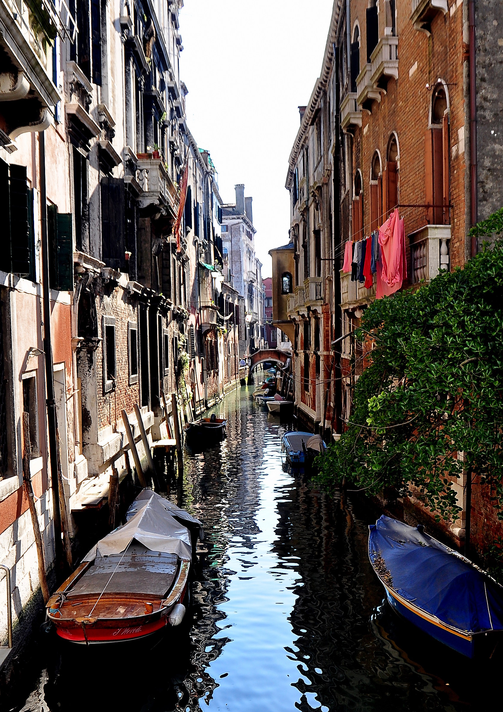 Venice Carnival / 20