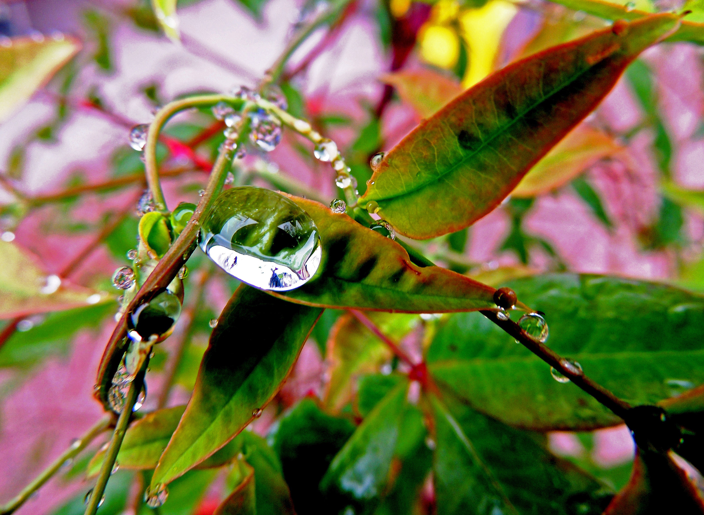 l'essenza dell'acqua