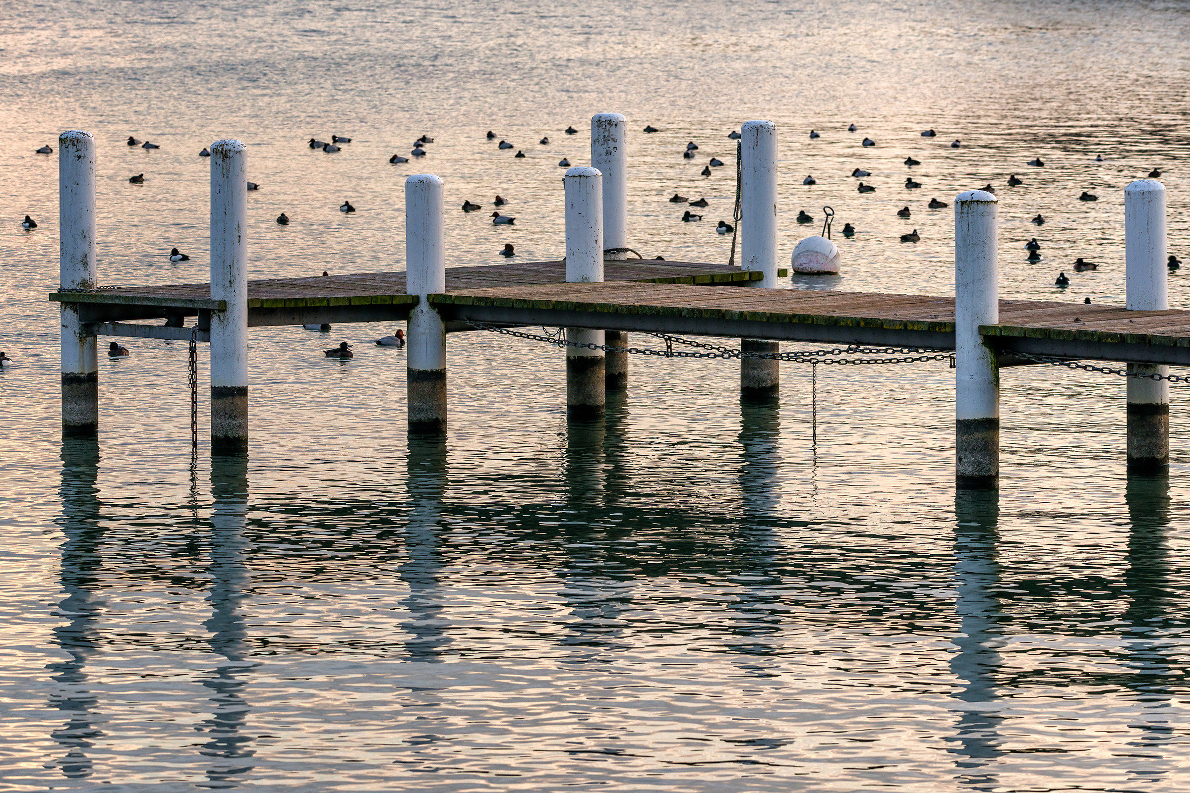 Sweet light on the lake