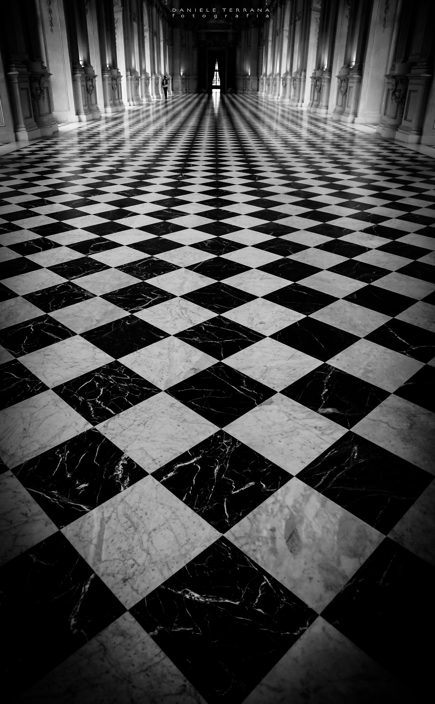 hypnotic_reggia di venaria