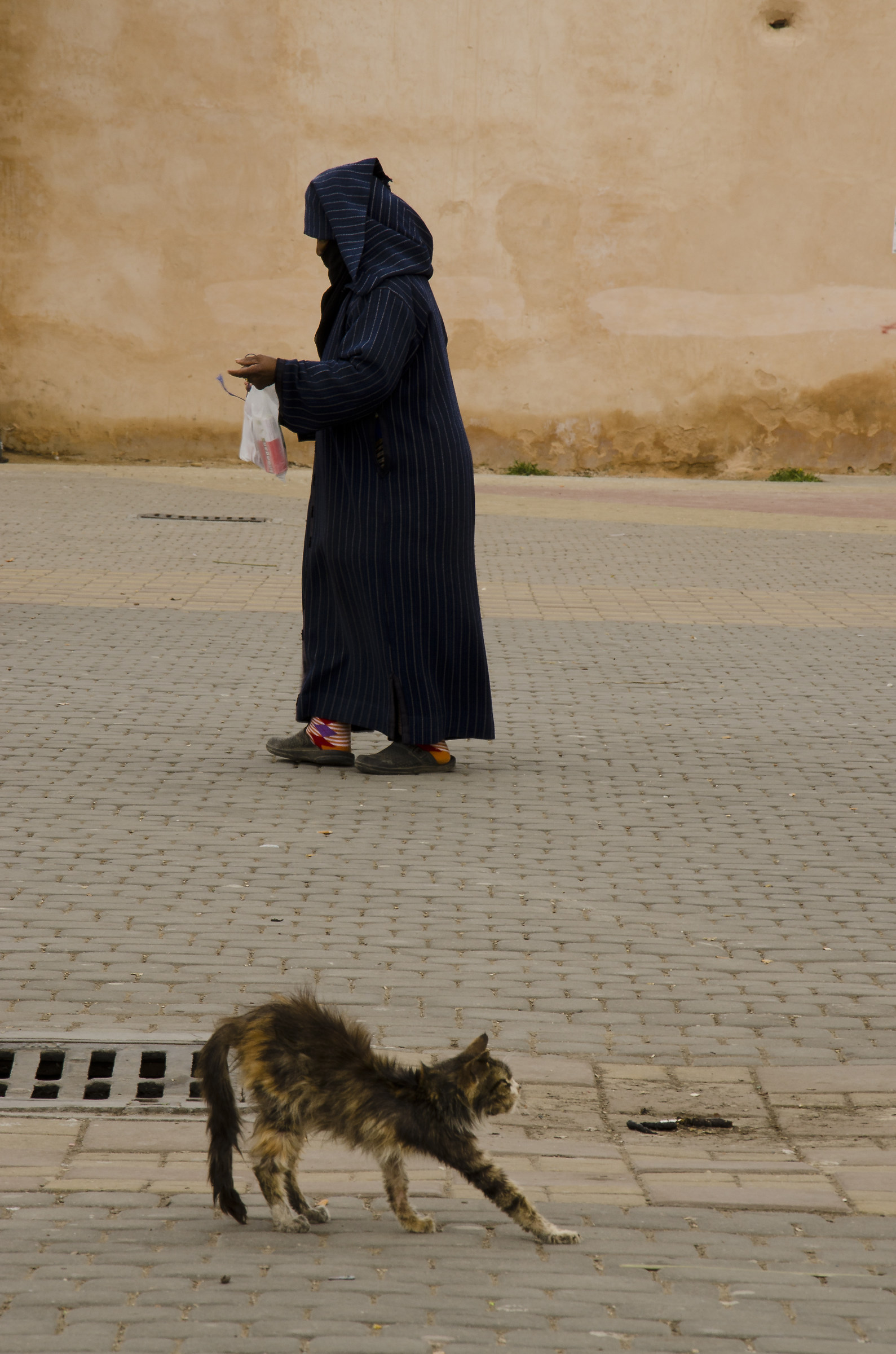 Meknes: the Woman and the Cat, parallel roads