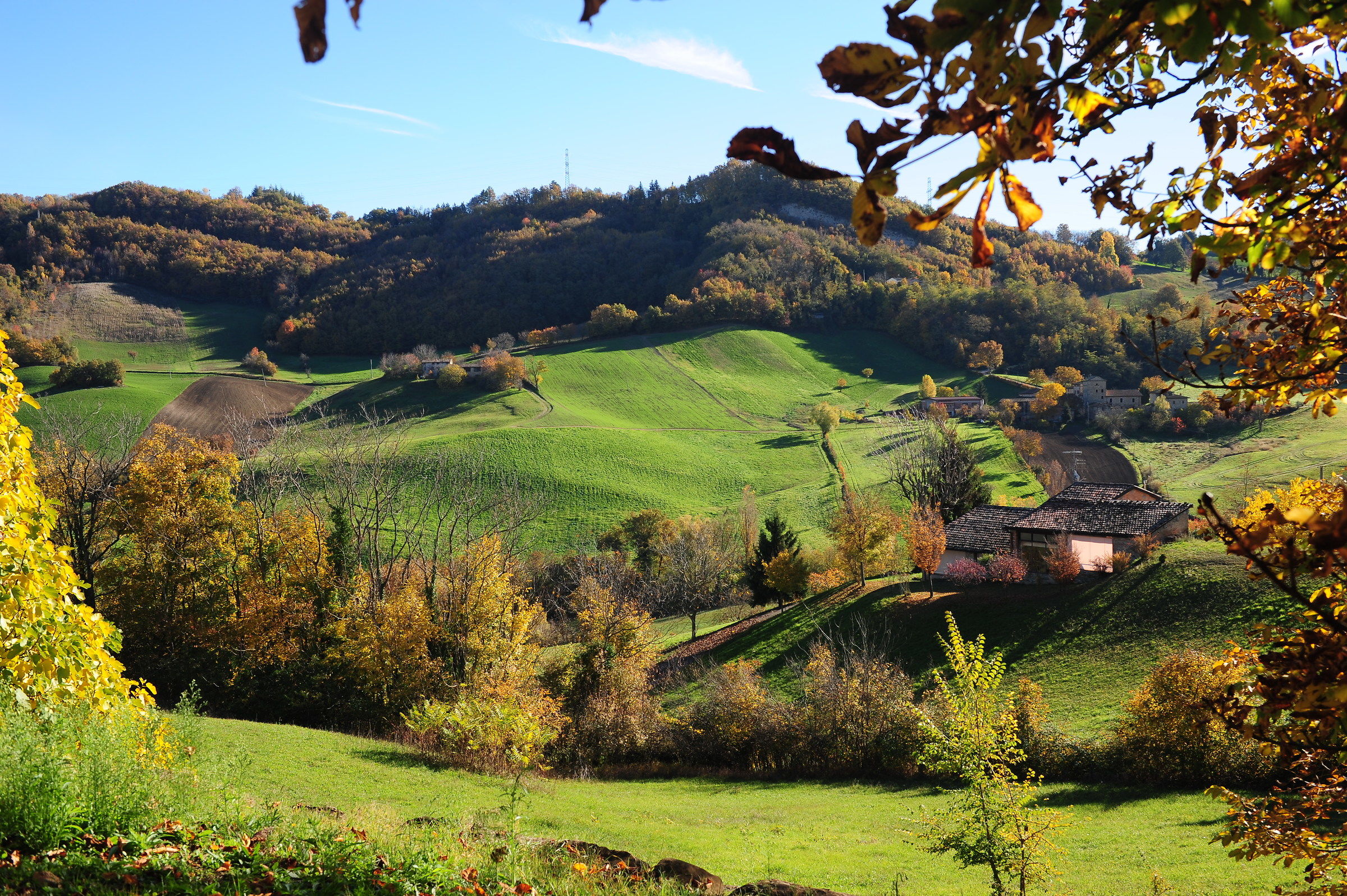 From the window of my house