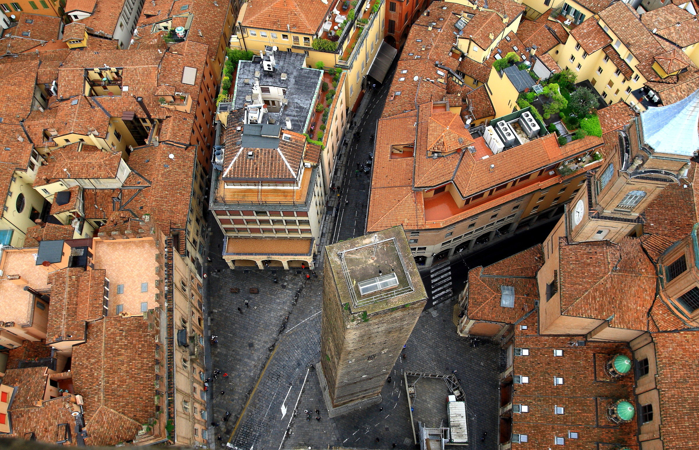 The view from the Tower Garisenda Donkeys