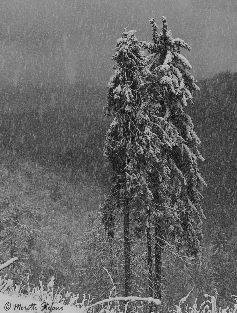 nella tormenta....