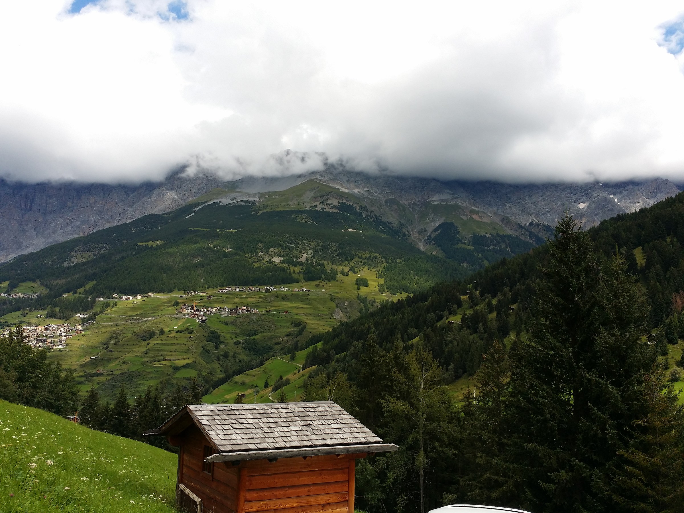 Vista dal Parco dello Stelvio