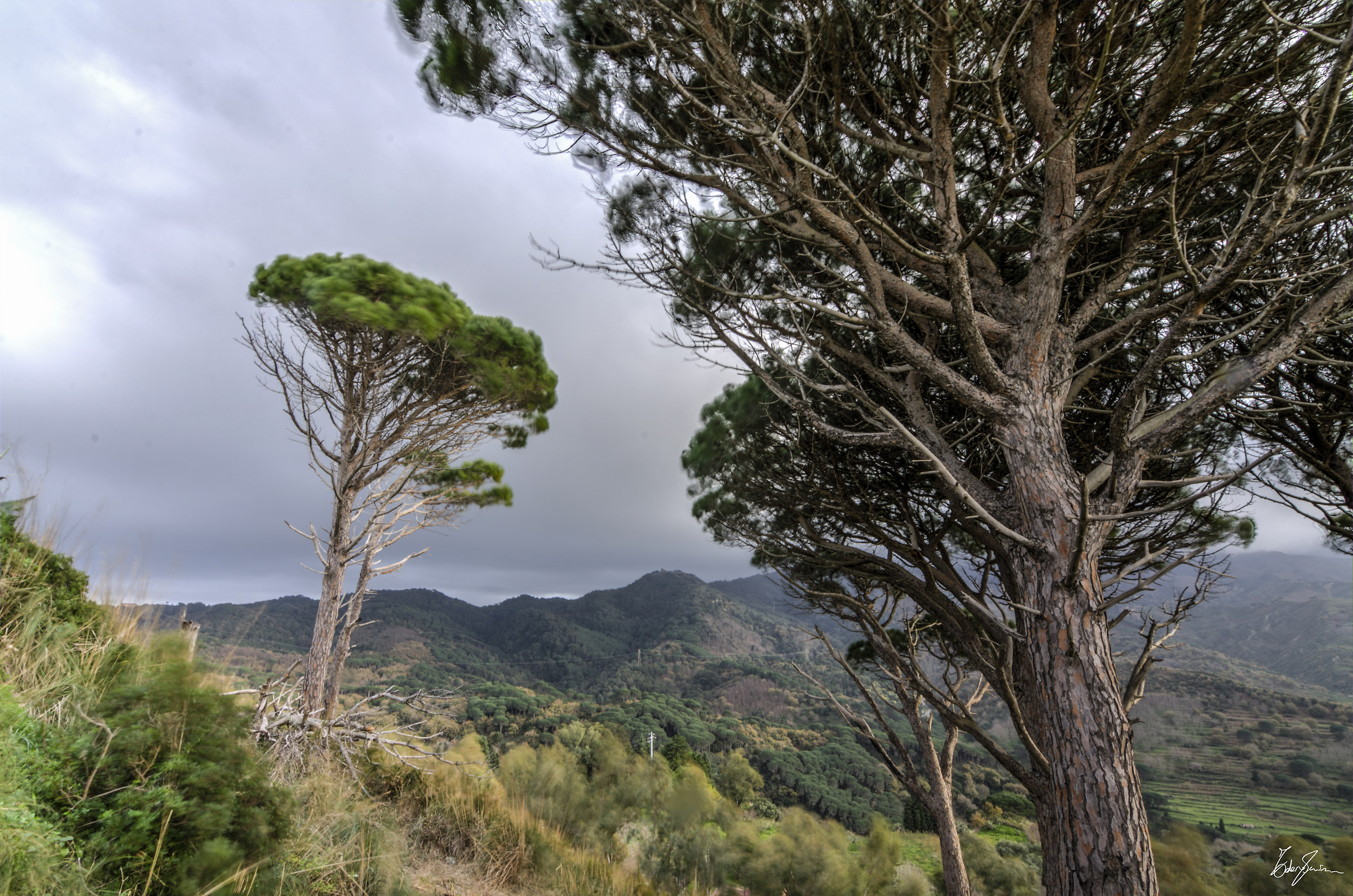 Sunset from the countryside