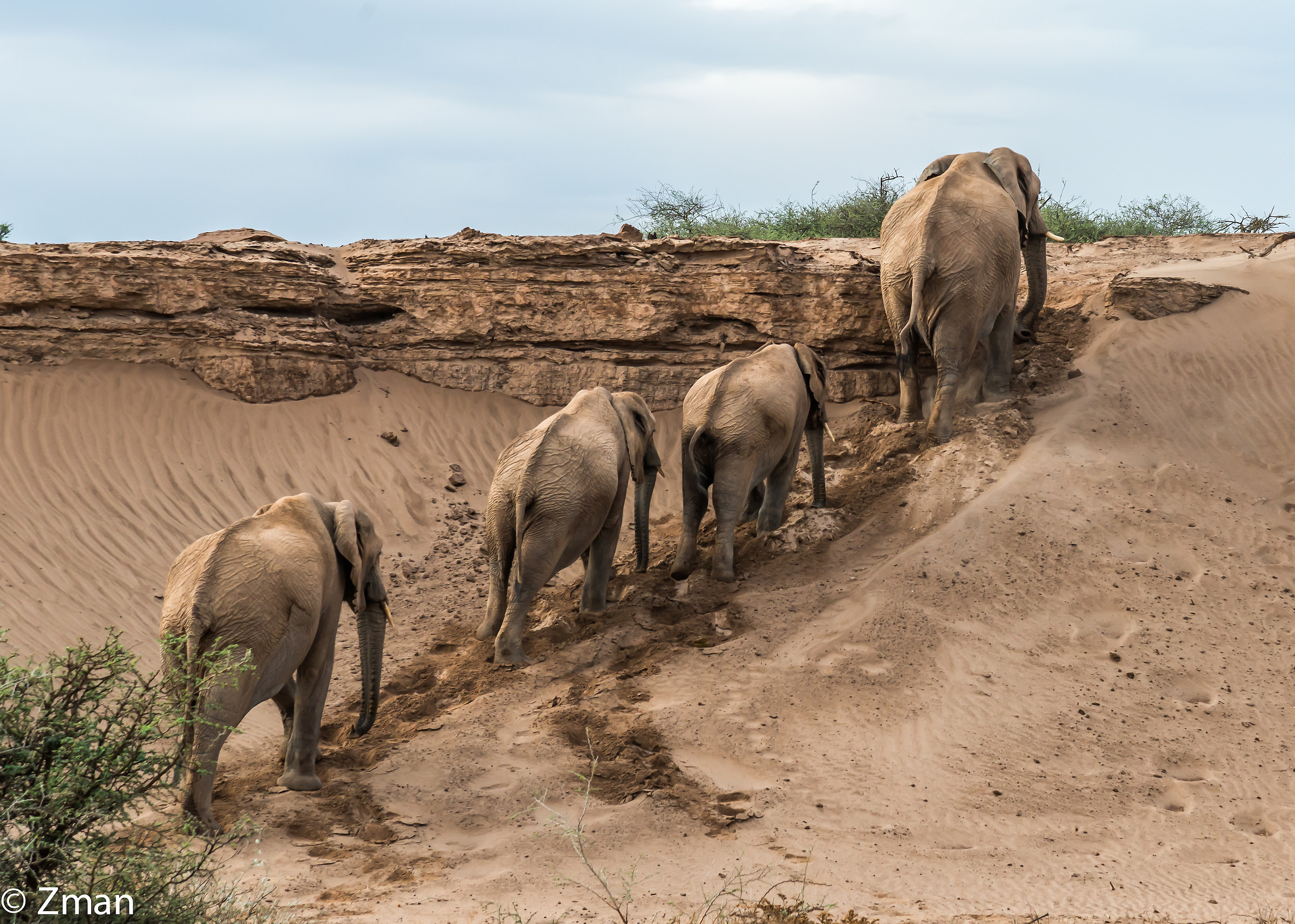 One at a Time Please