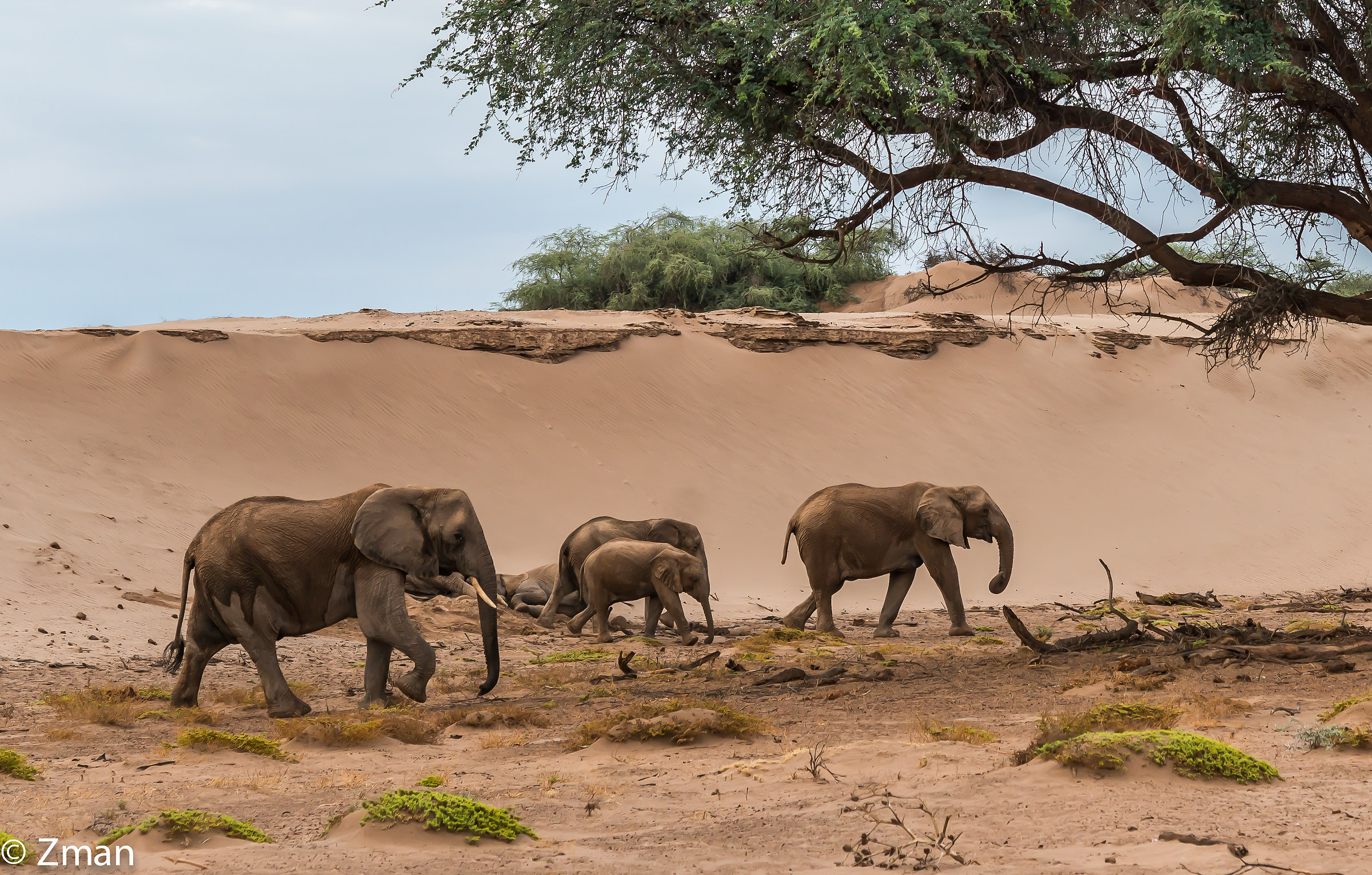 The Start Of The Day