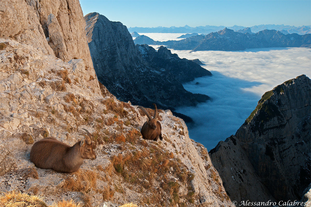 Relaxing above the clouds