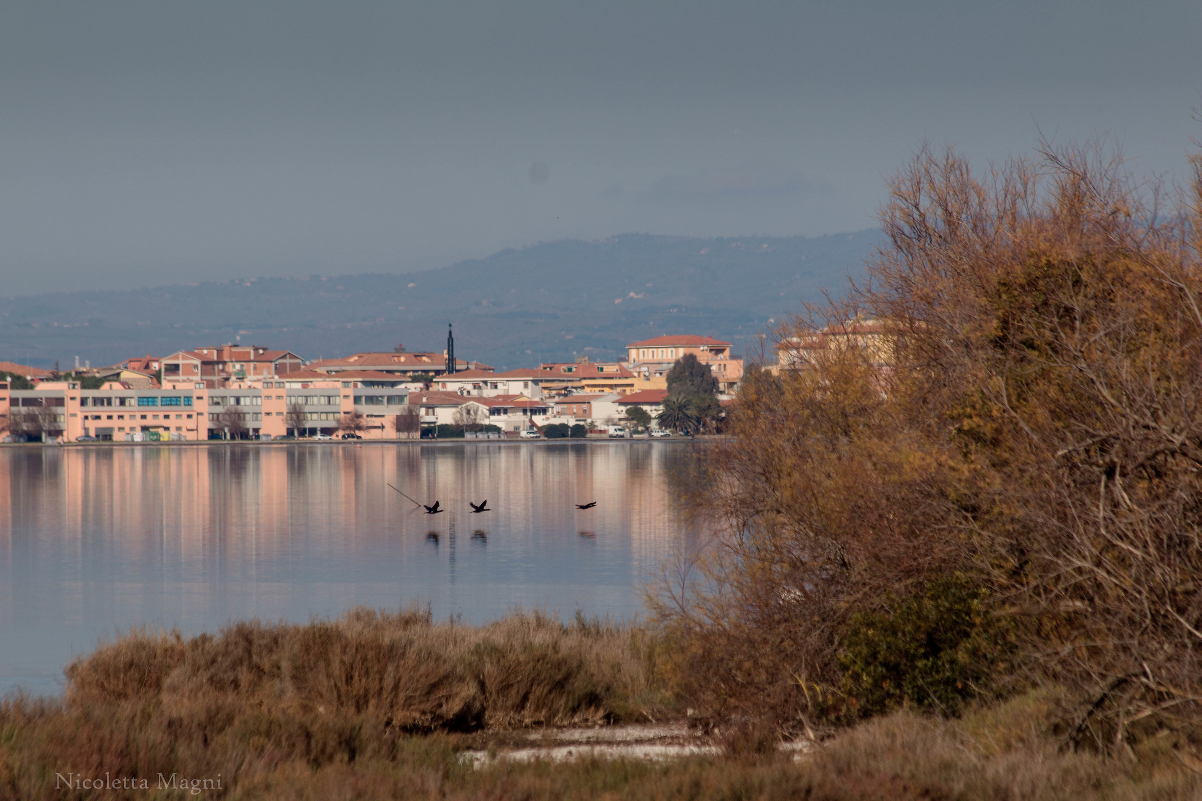 L'altro lato della laguna