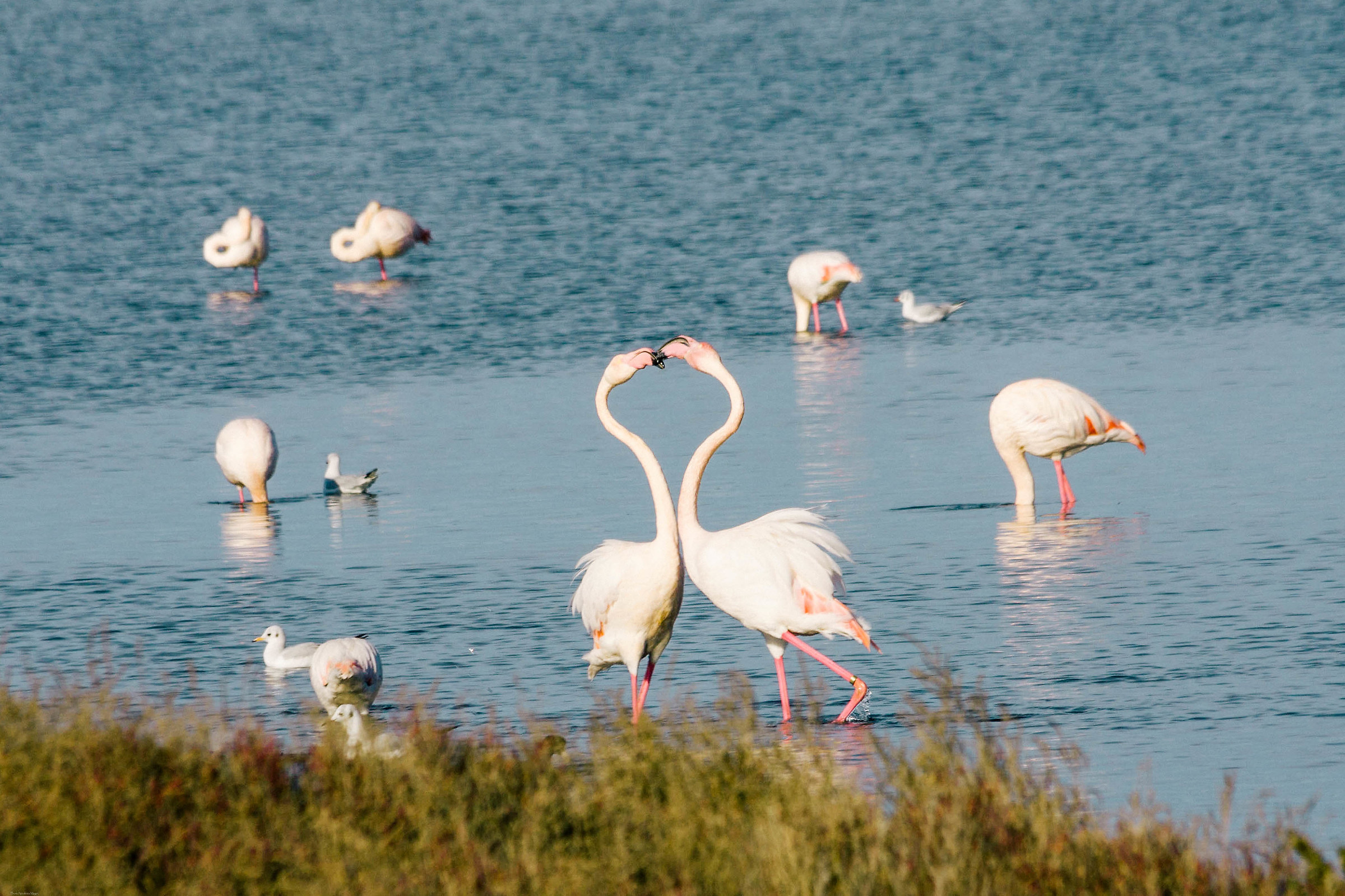 Un momento romantico
