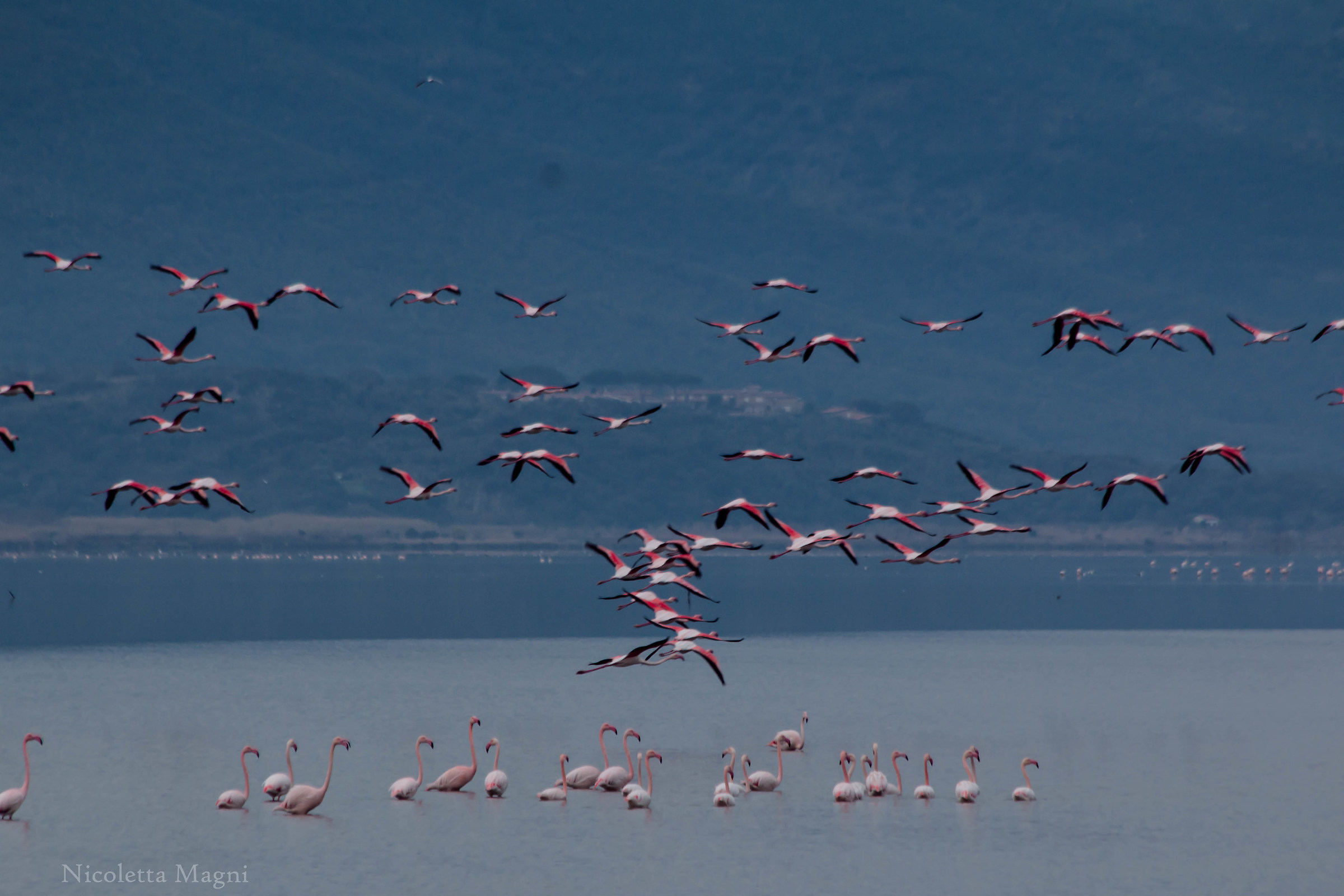Il cielo si colora in volo