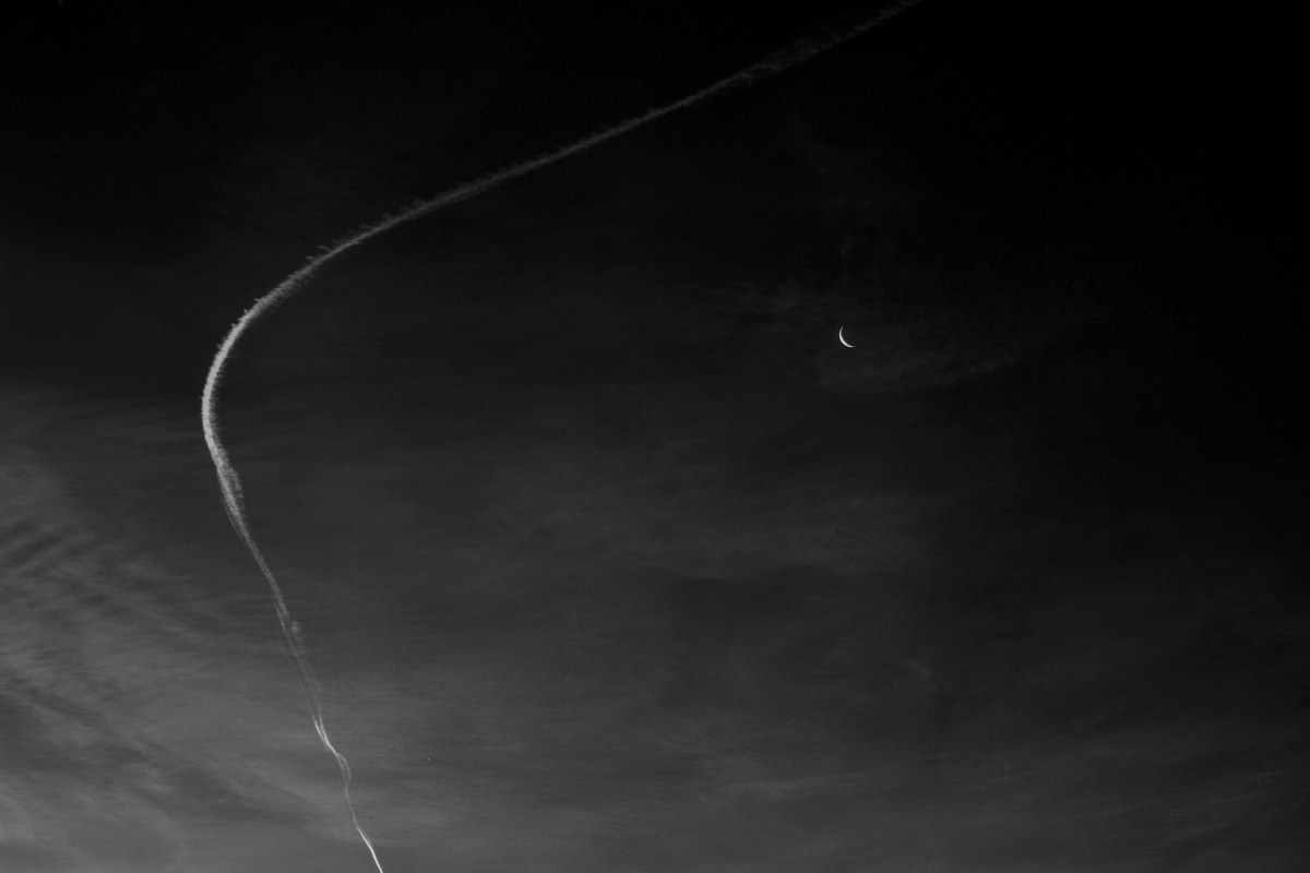 fly my to the moon..................