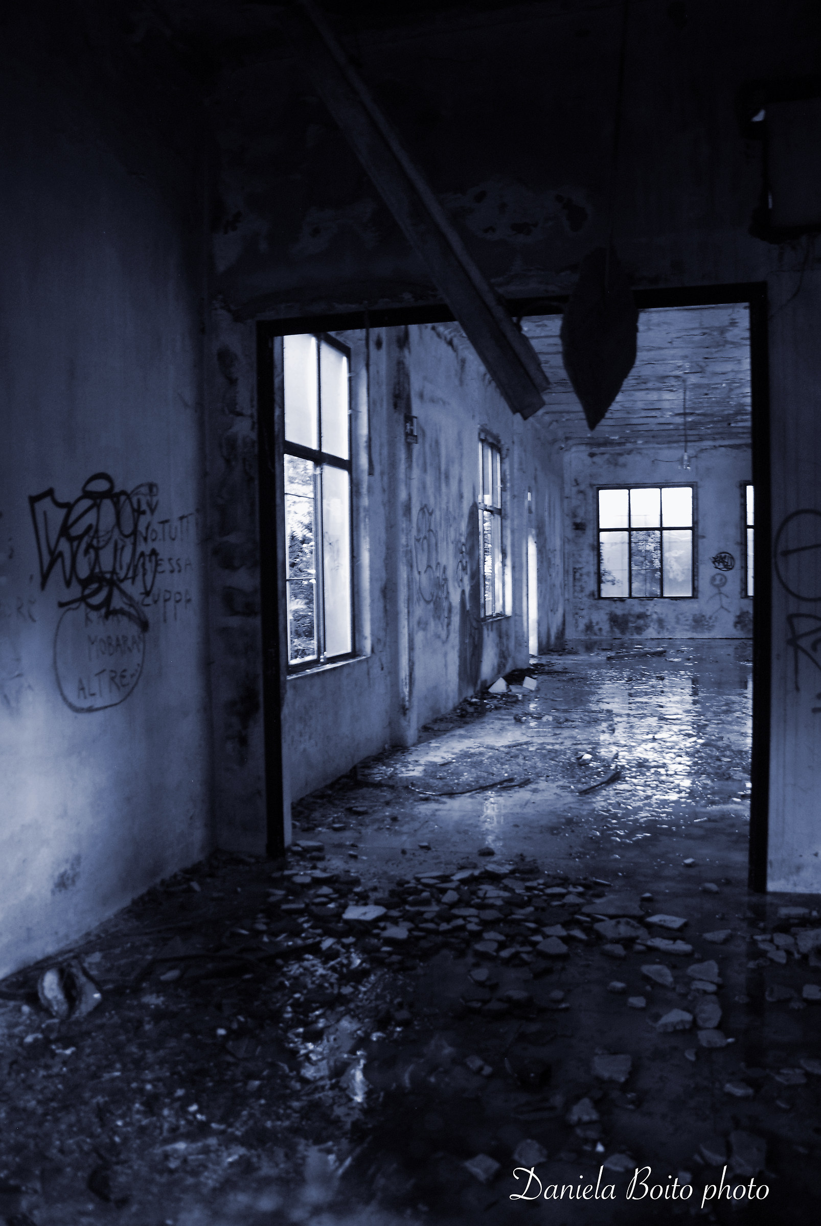 Darkness in the Light