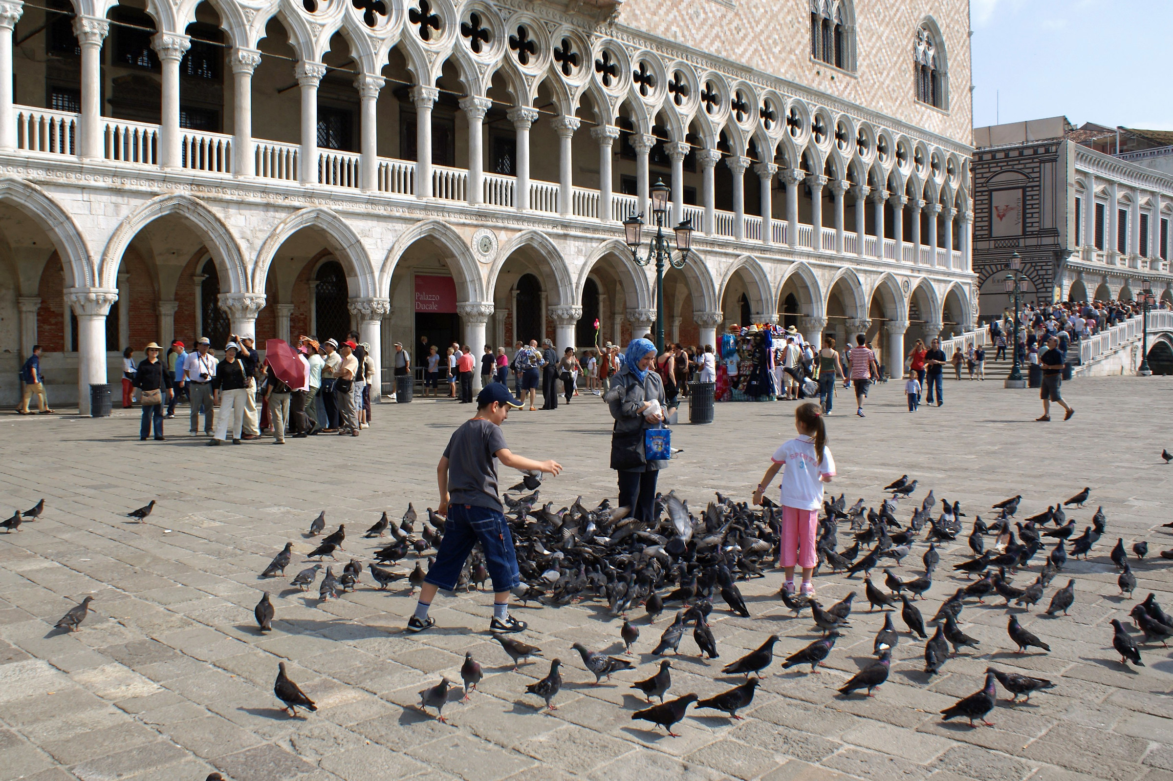 Children and pigeons (when you could do)