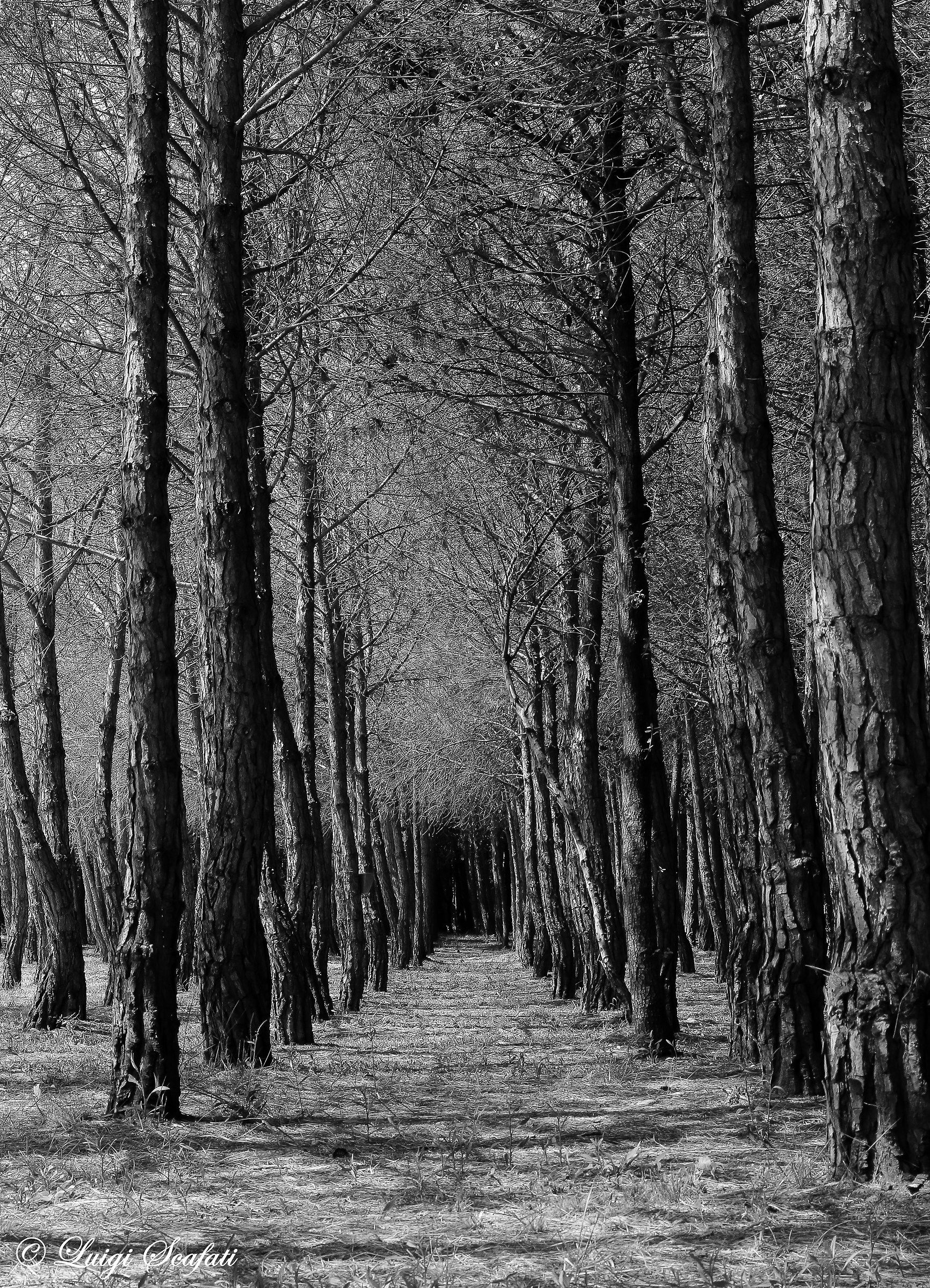 A journey into the unknown ...