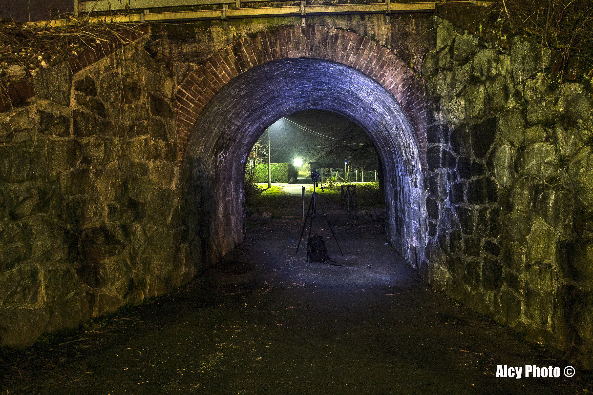 dov'è finito il fotografo ?