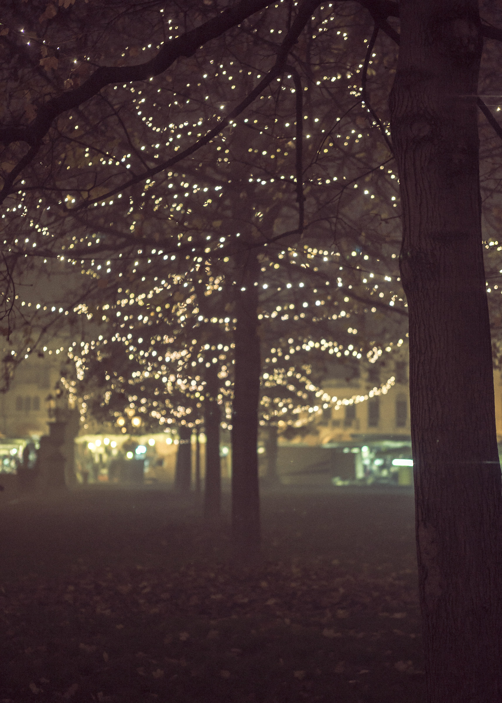Prato della Valle - Padova