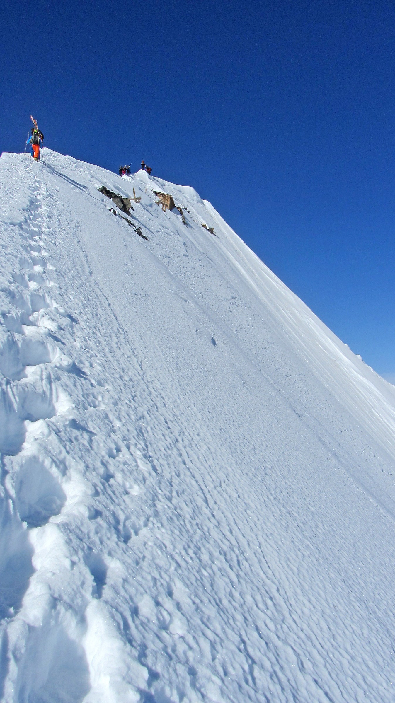 Parete Nord Gran Zebrù 3851m