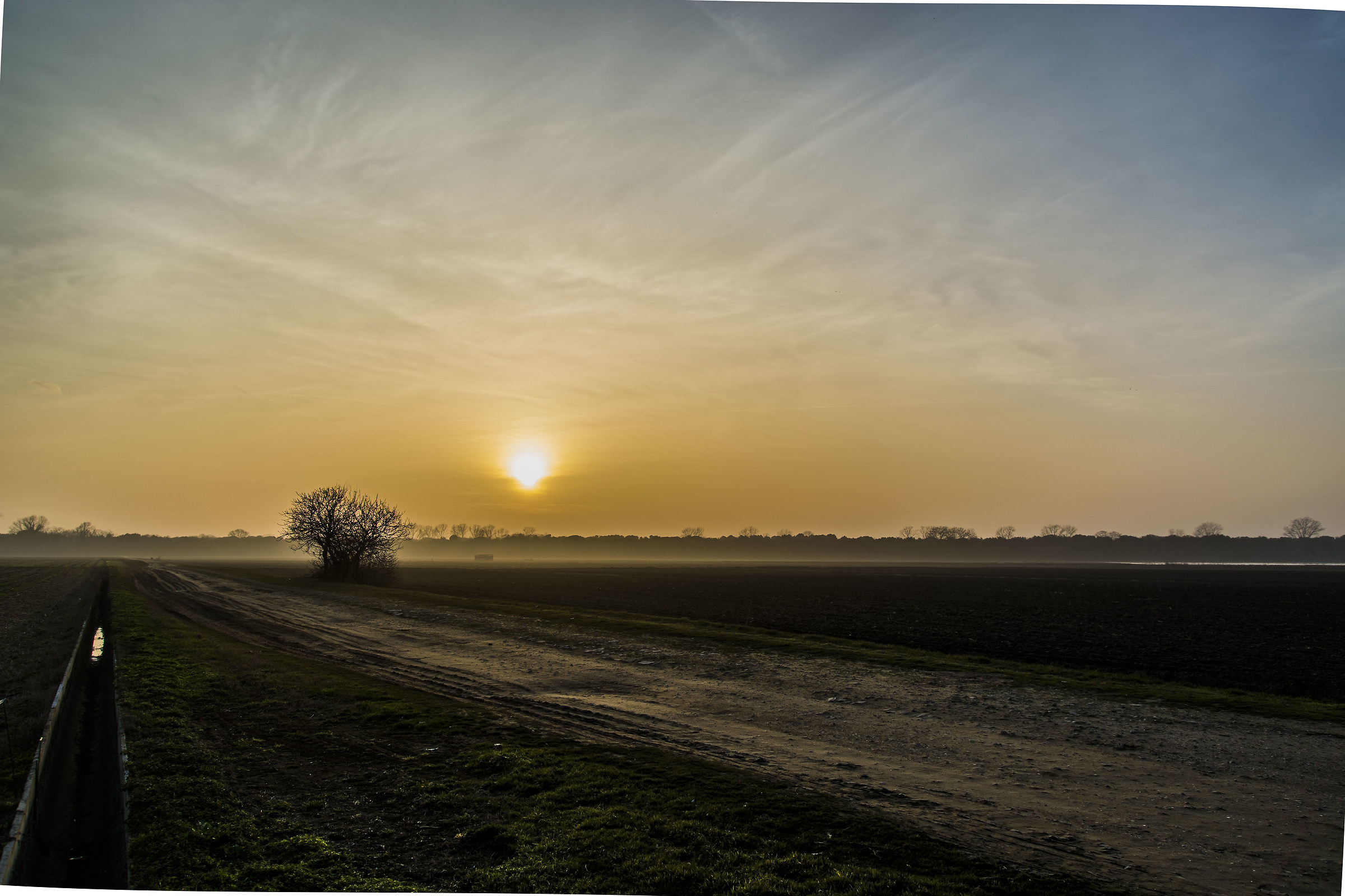 glimpses into the delta Delpo