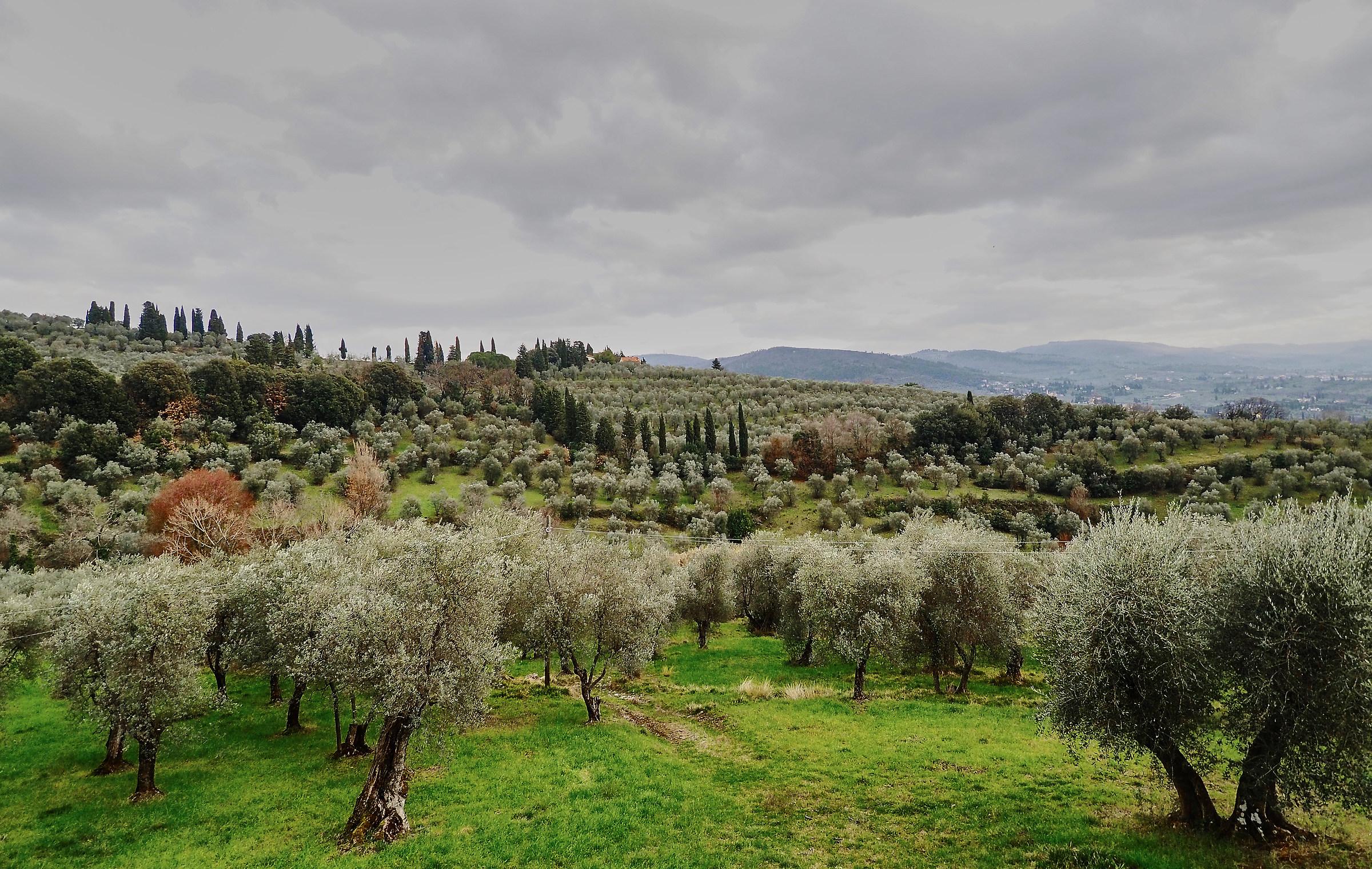 paesaggio settignano