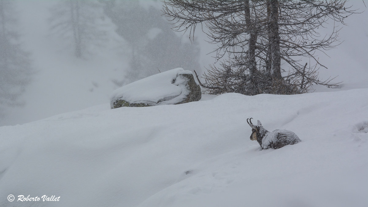 ... e noi aspettiamo che smetta