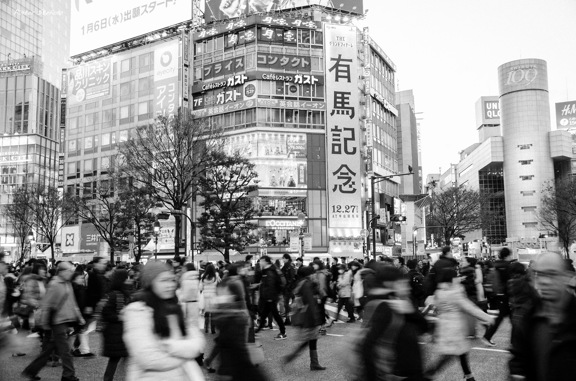 Shibuya in movimento