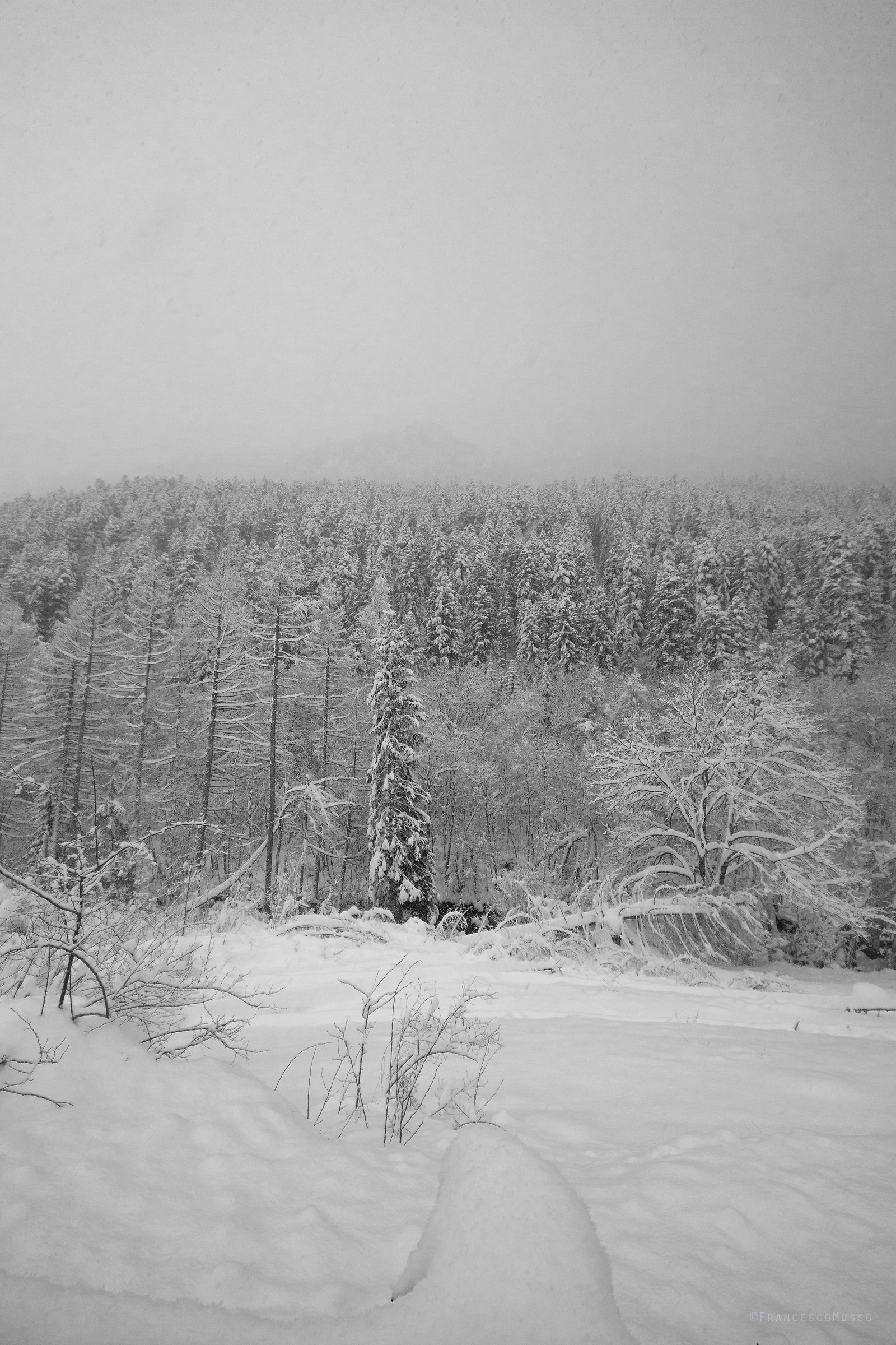 After the snow storm