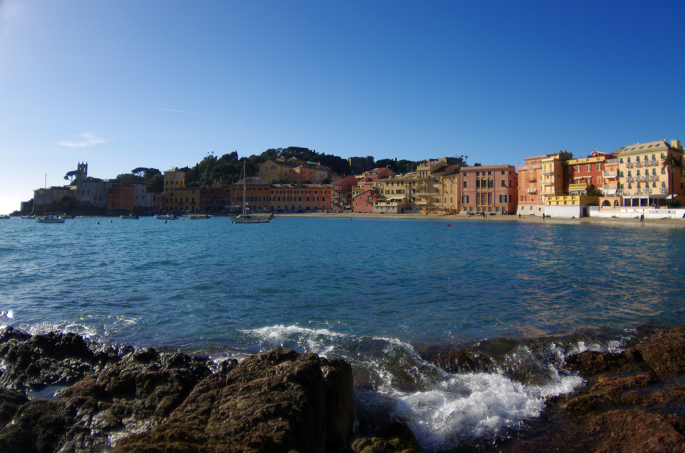 Fish in Silence (#2)