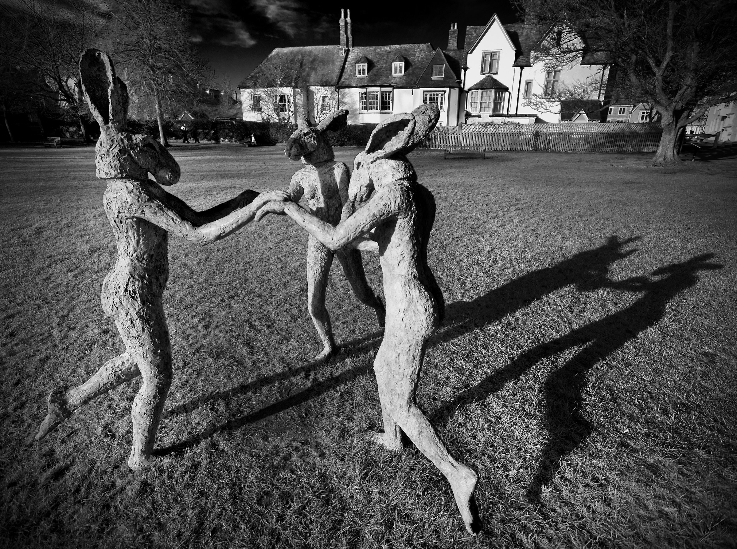 Dancing March Hares!