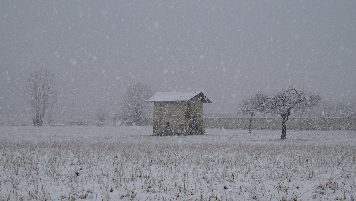 The silence of the snow